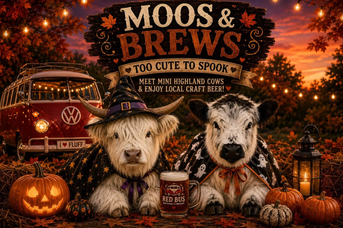 Moos & Brews
