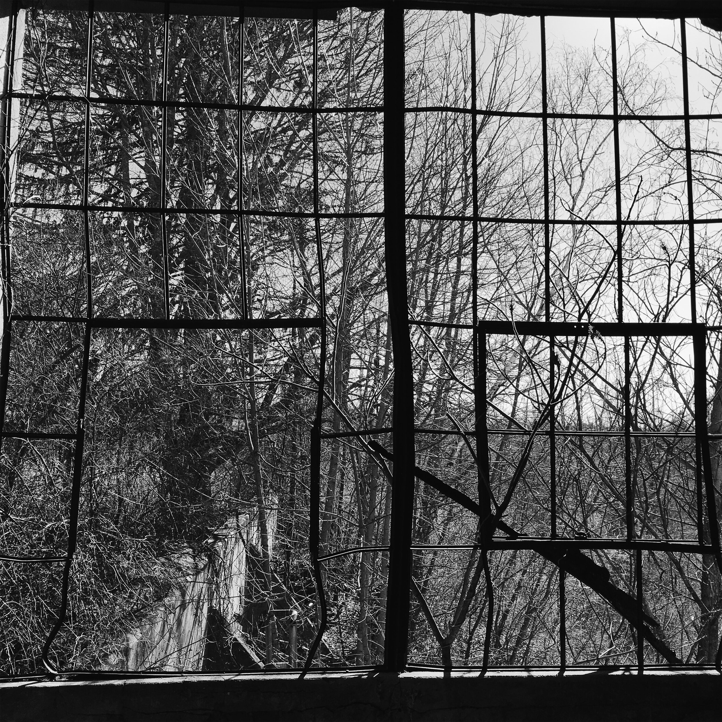 Western MA - 2015