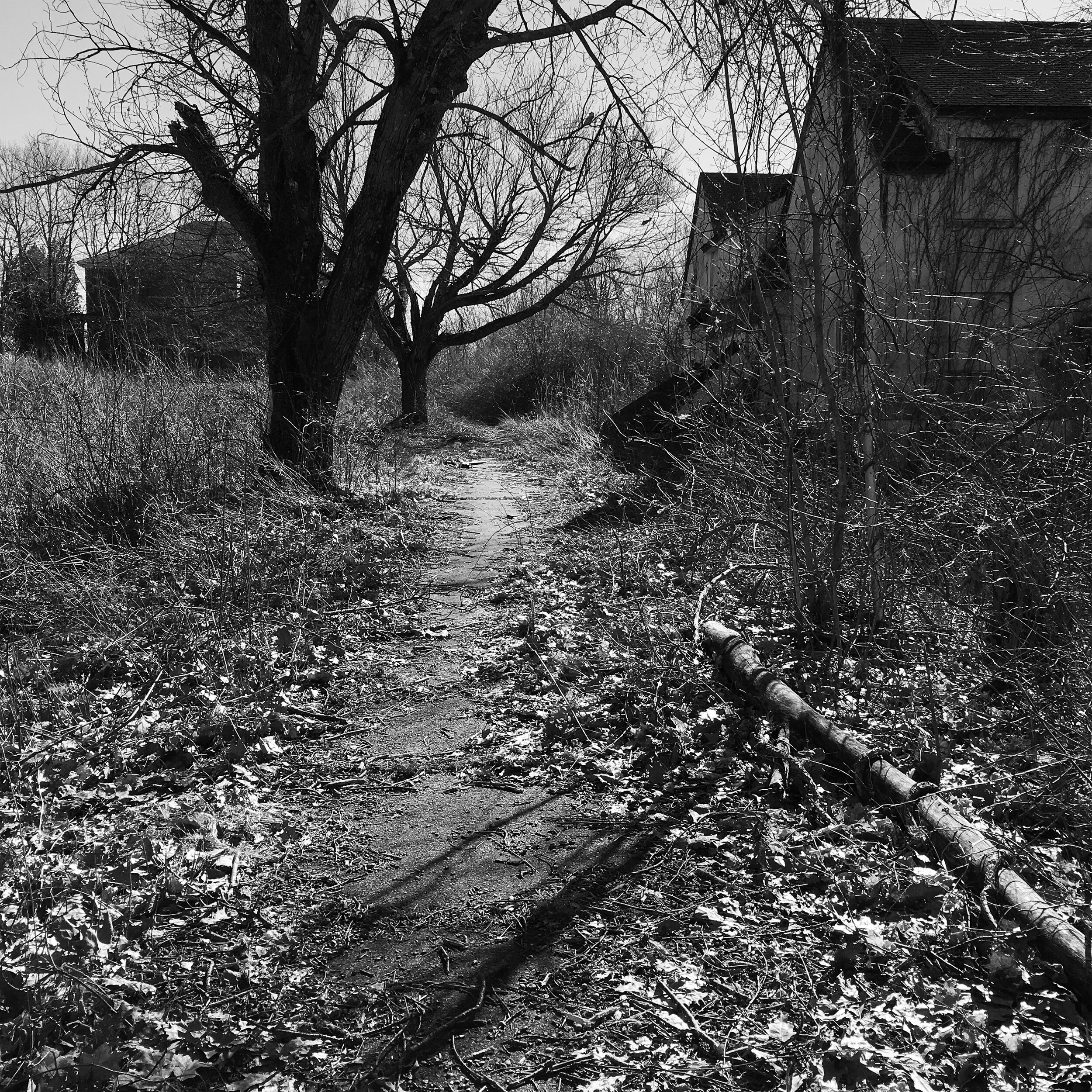 Belchertown, MA - 2017
