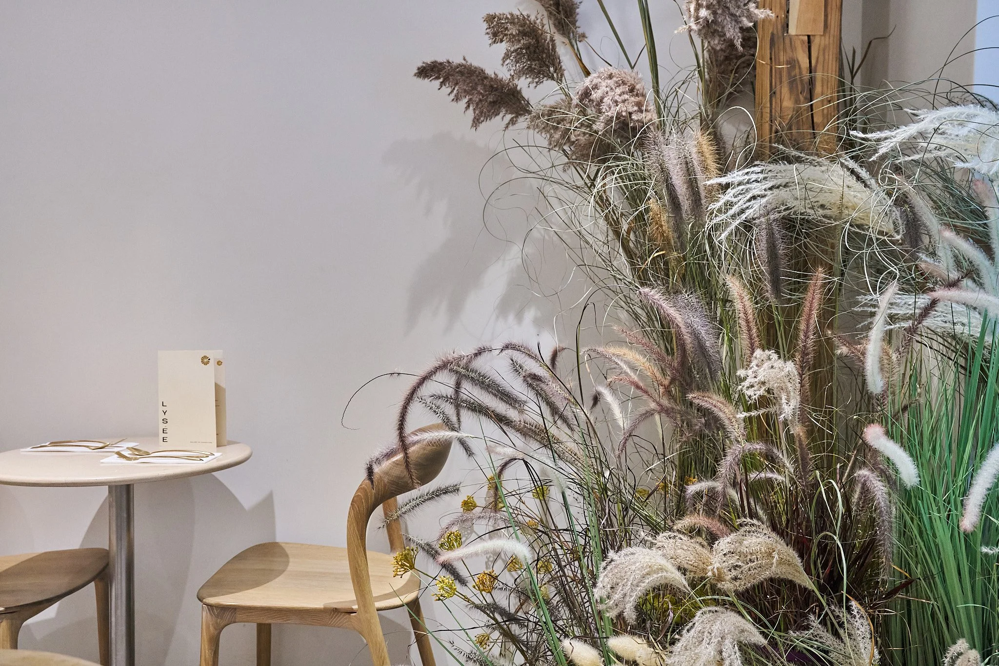 lysee 09 24 24003.jpg