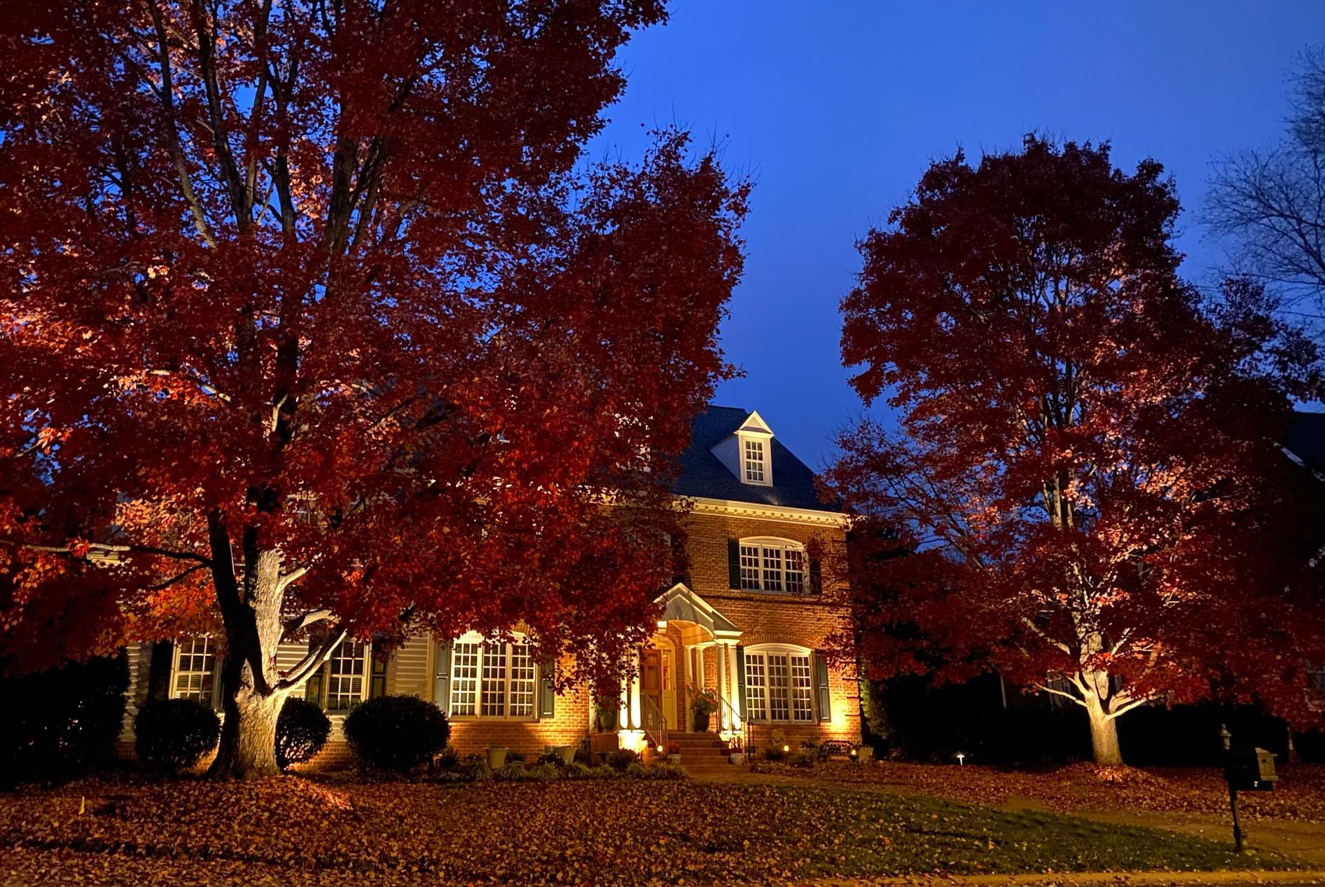  Red brick home with soft architectural and landscape lighting. The home has a large tree in front with red leaves. 