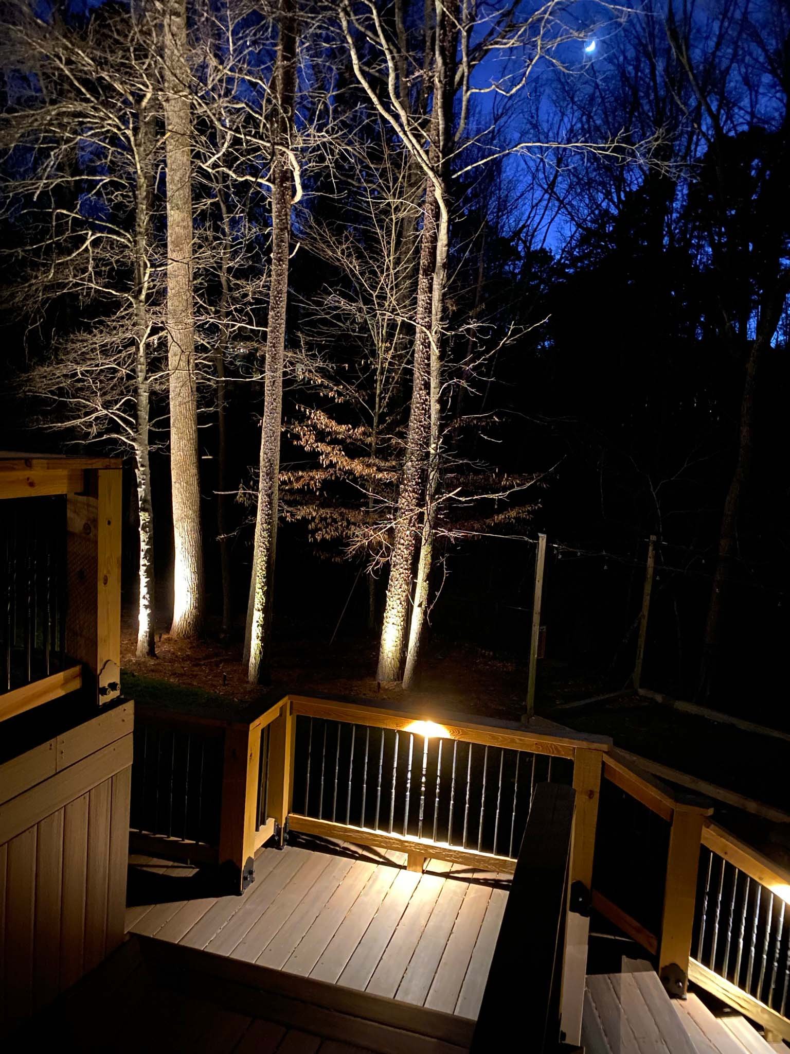  Large winter trees illuminated with outdoor accent lights behind a multilevel deck illuminated with lights mounted to the railings.  