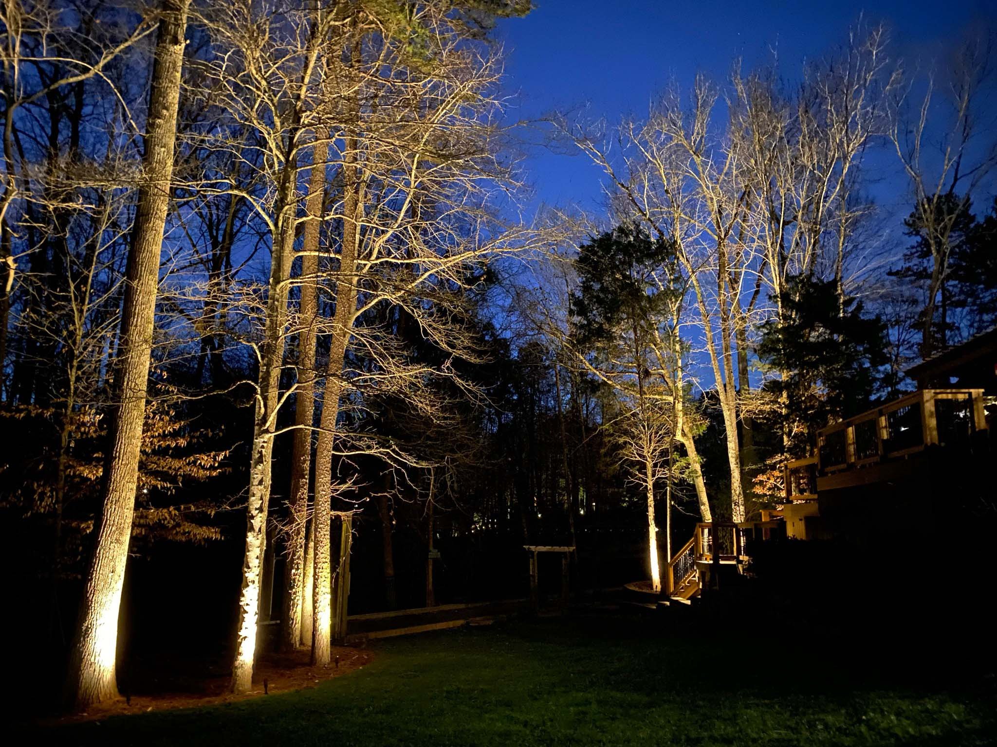  Outdoor lighting creates depth in this yard lined with large, mature trees.  