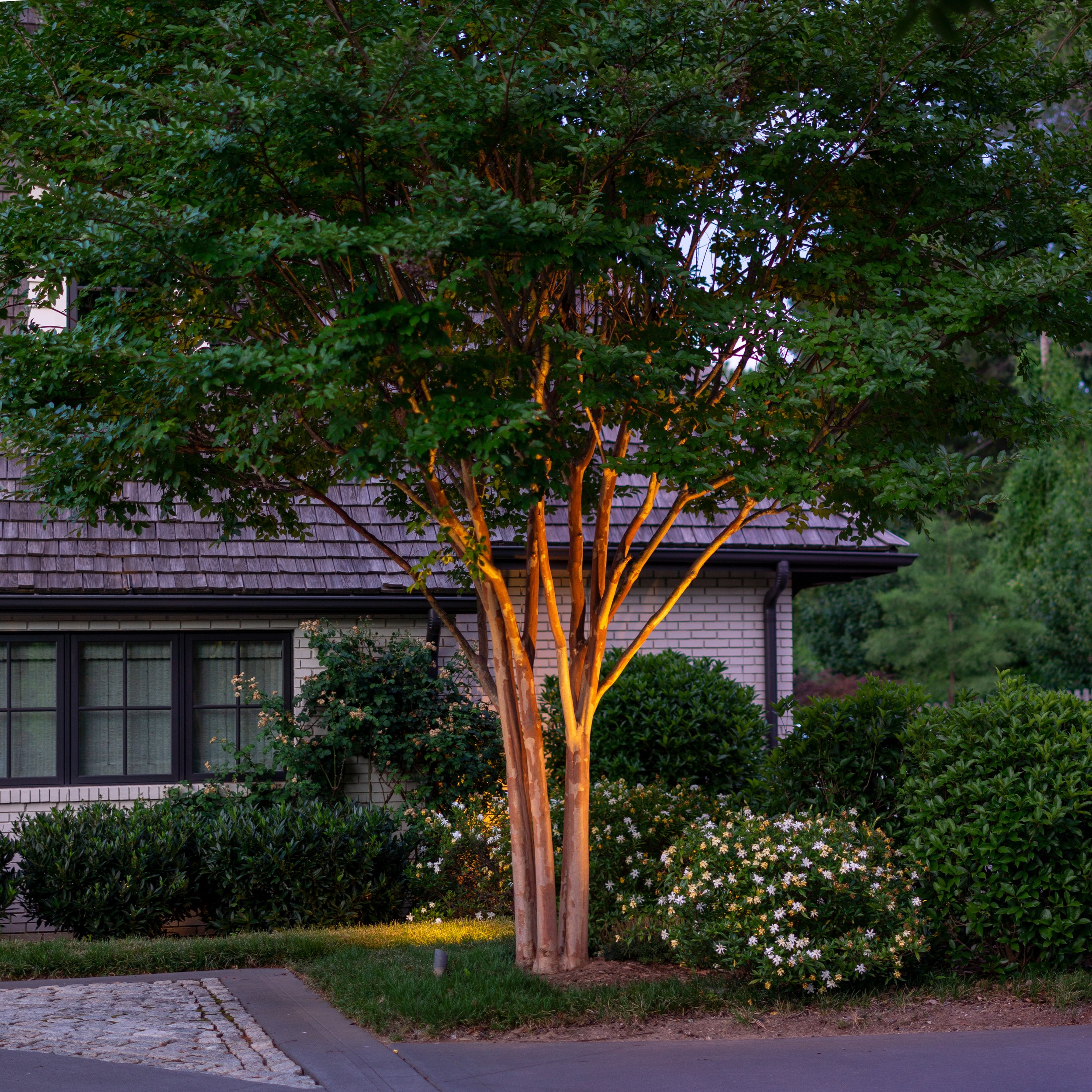 Landscape Lighting - Accenting Trees — Limelight Outdoor Lighting