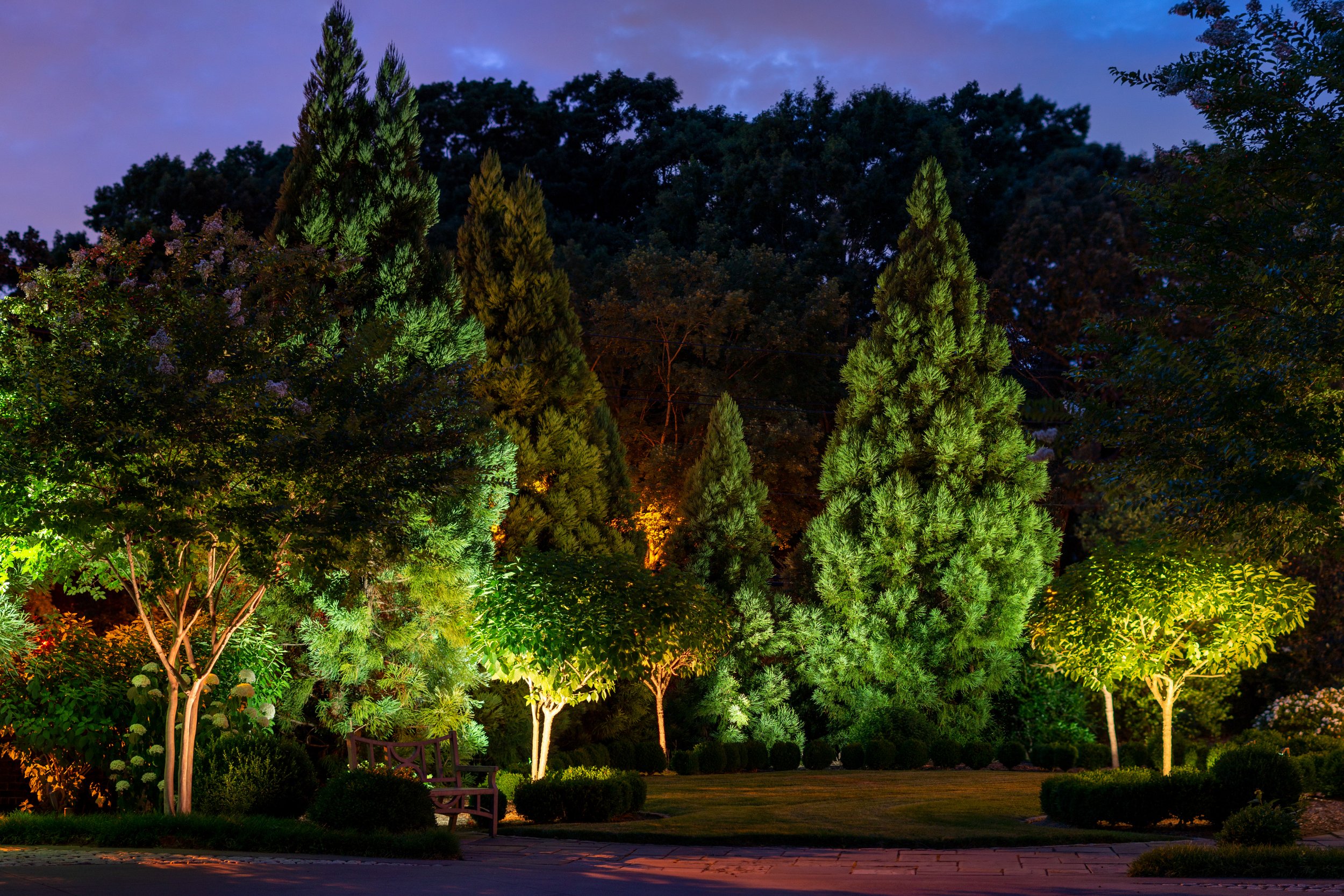  We used warm lights on the Crepe Myrtles and small trees and we used cooler temperature lights on the evergreen trees. The cool lights bring out the vibrant greens of the pine needles whereas the warm lights bring out the beautiful color and shapes 