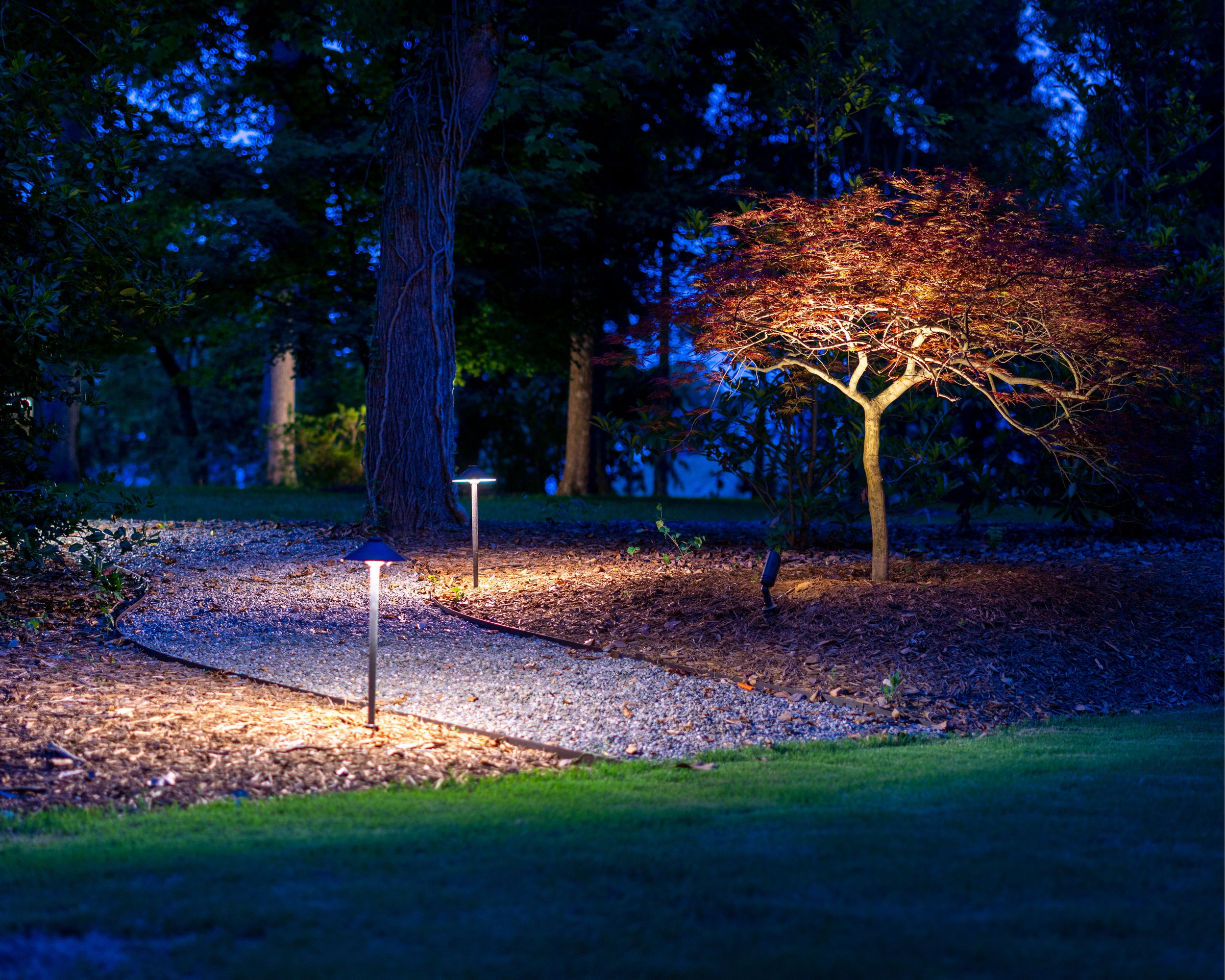  White rock path meanders through a red mulch bed is illuminated with two path lights. A nearby Japanese maple tree is lit with a landscape accent light. 