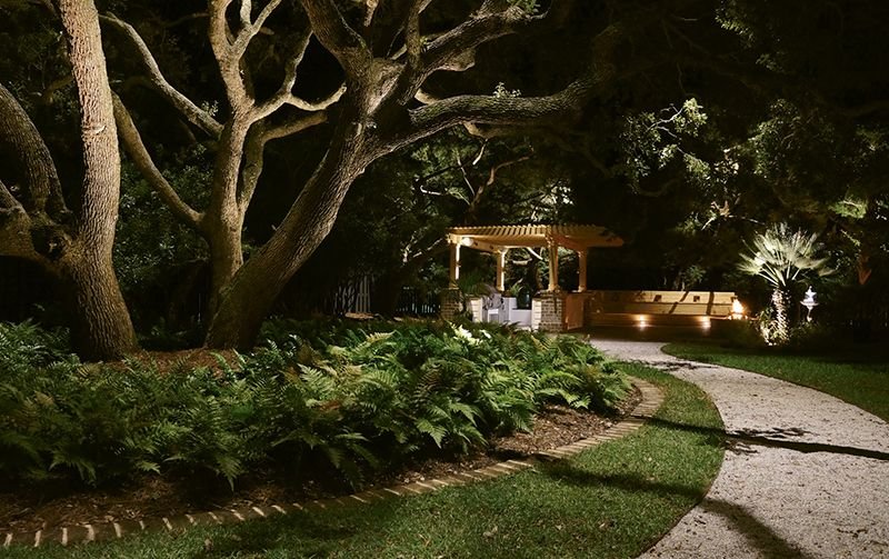  Garden with large branchy trees is illuminated from above with downlights mounted high in the trees. Shadows from the lights can be seen on the path leading to a pergola in the distance.  