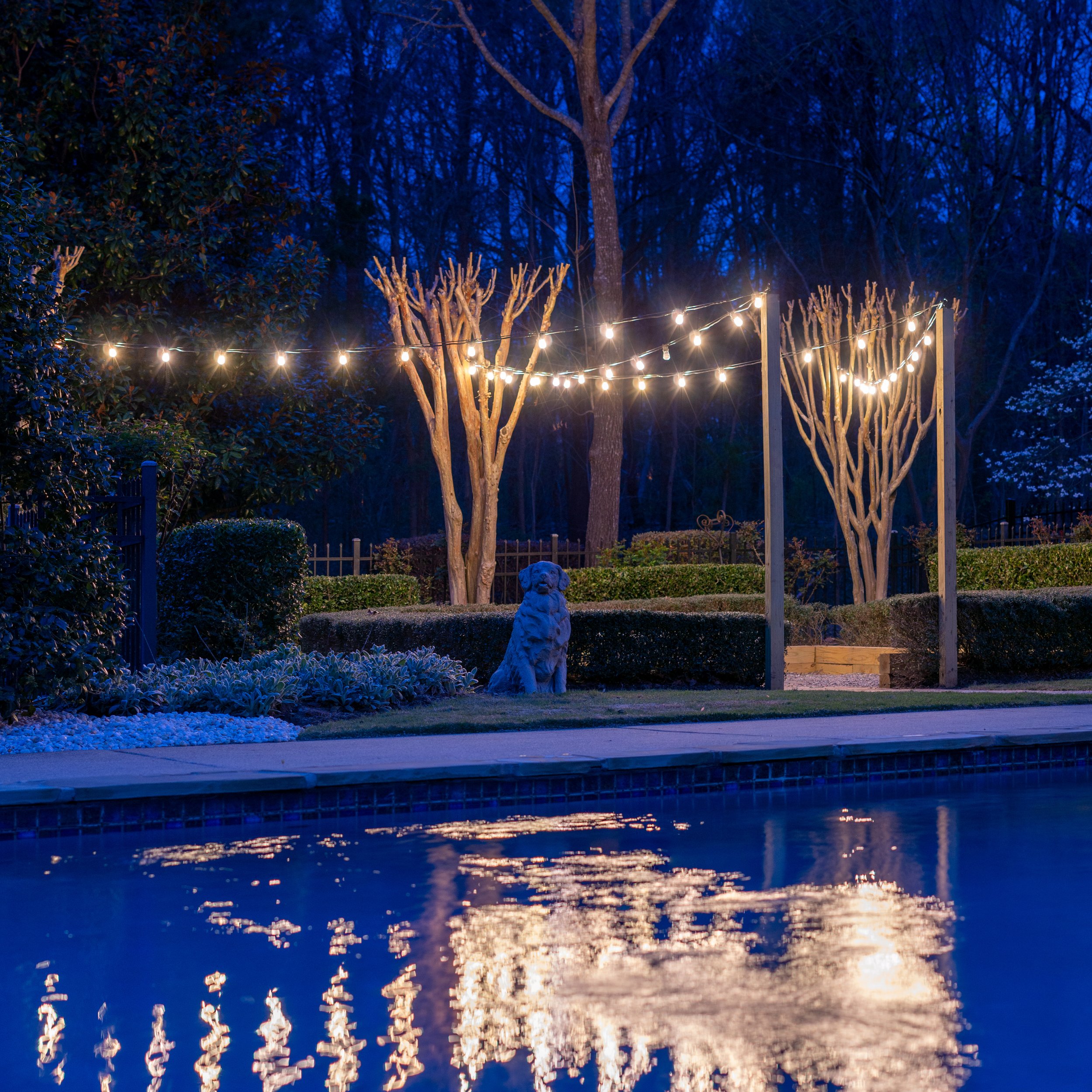 Landscape Lighting - Accenting Trees — Limelight Outdoor Lighting