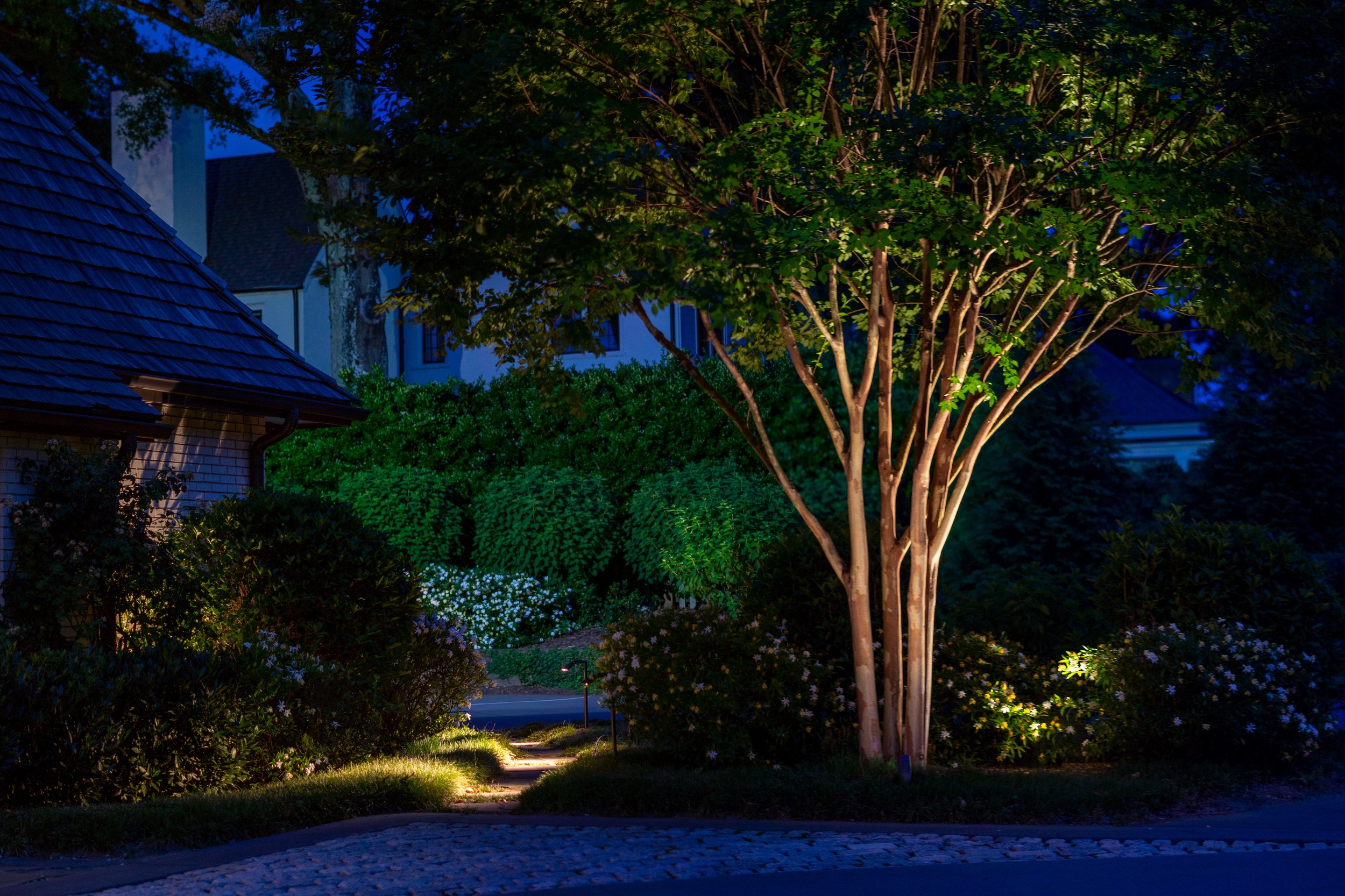 Landscape Lighting - Accenting Trees — Limelight Outdoor Lighting