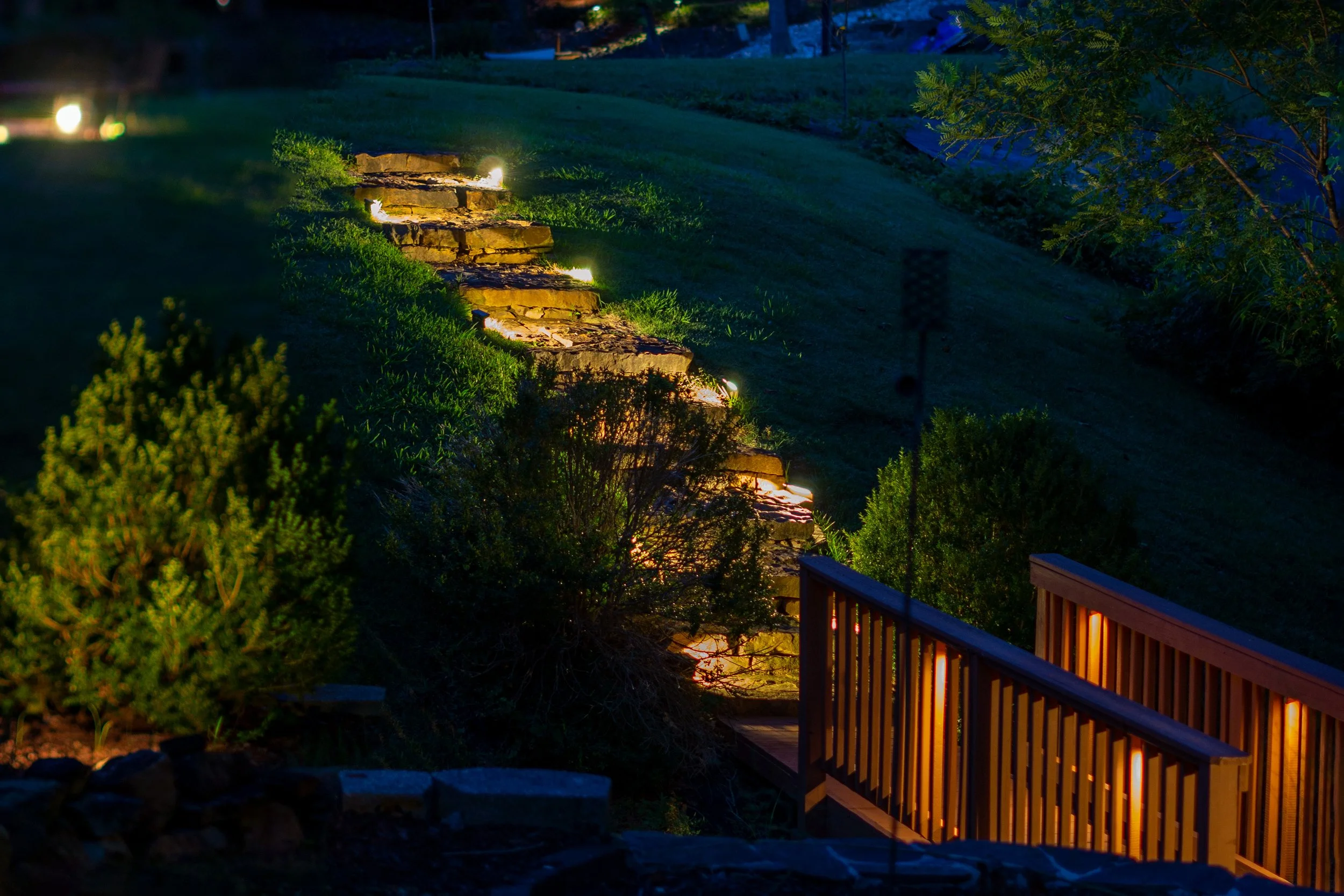 Landscape Lighting - Accenting Trees — Limelight Outdoor Lighting