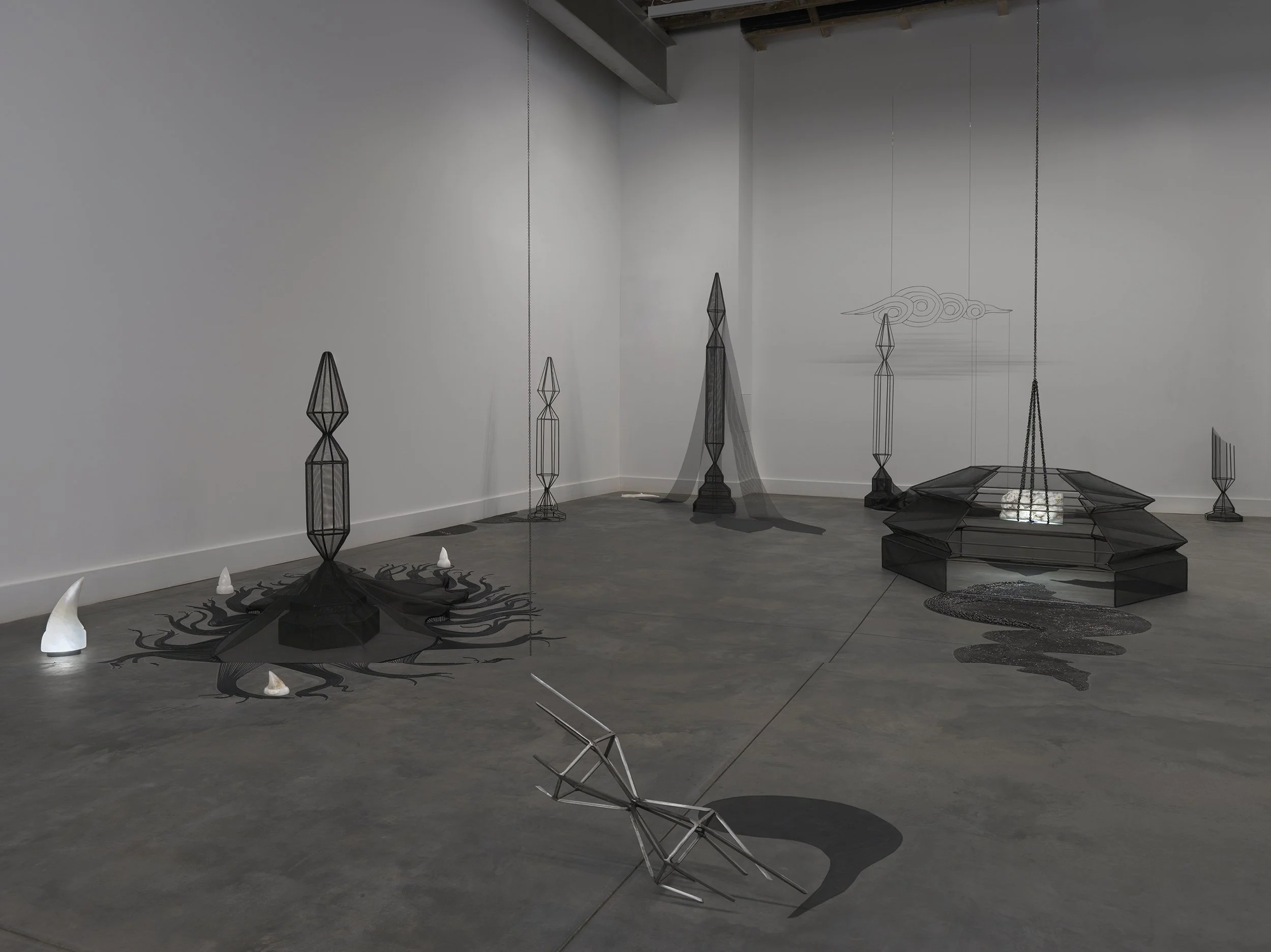 Work titled "Sounding Shell" by Afruz Amighi