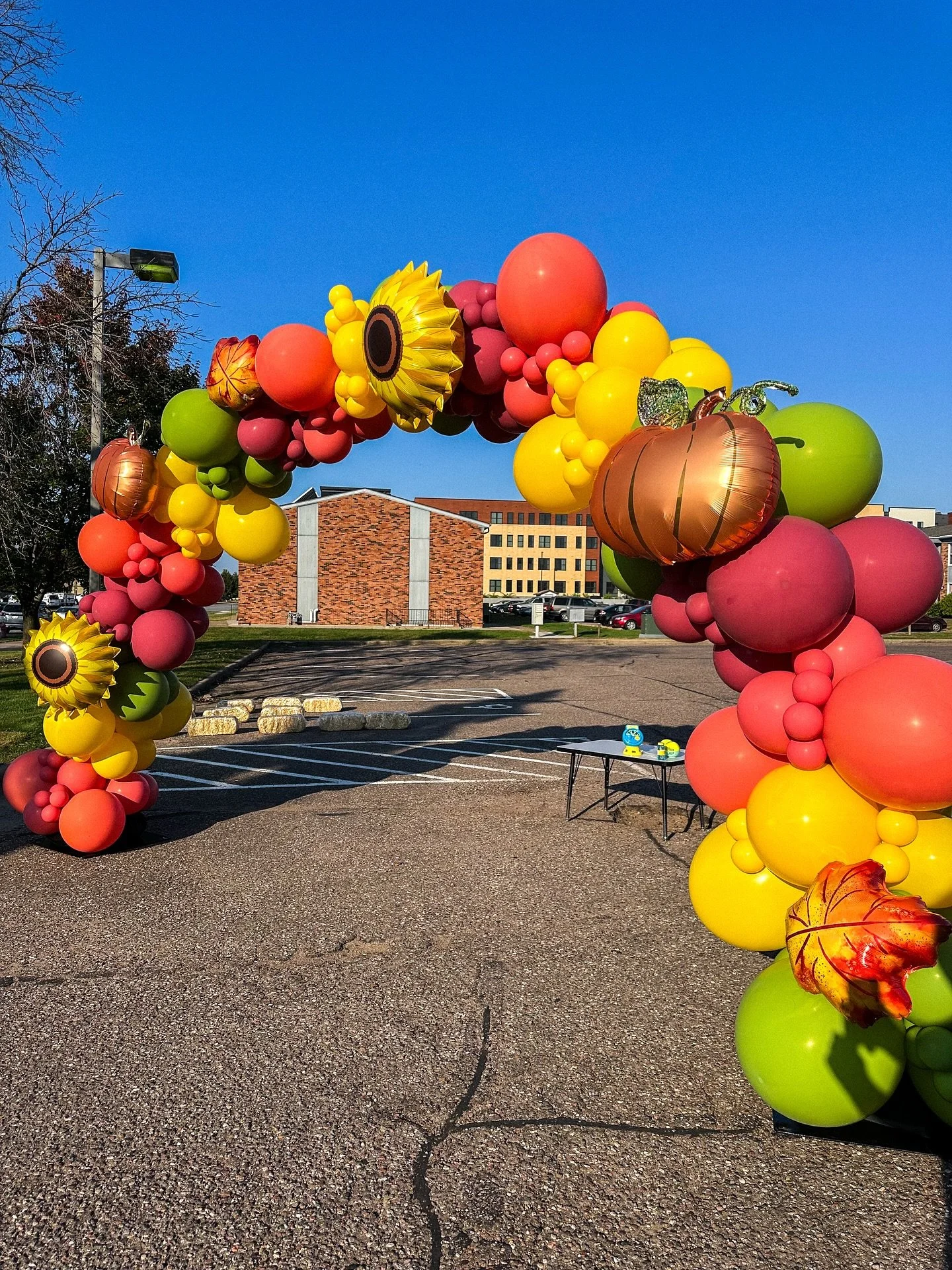 It was a breezy morning but our Aeropole arch and balloons held up perfectly!! Congrats on 5 years to Nature&rsquo;s Cove Early Learning Center, thanks for letting us be apart of your celebration. 🎃🍁🌻