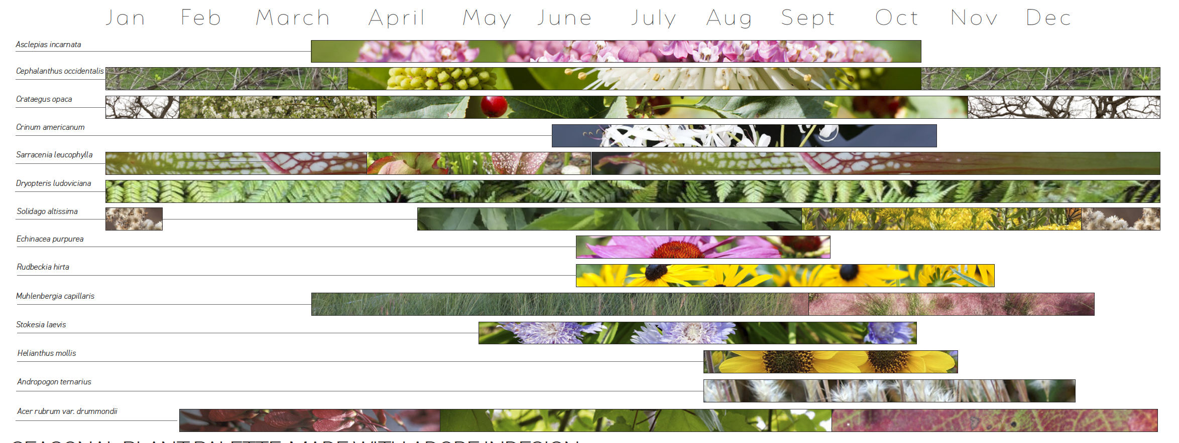 Screen Shot 2021-08-12 at 9.25.16 PM.png