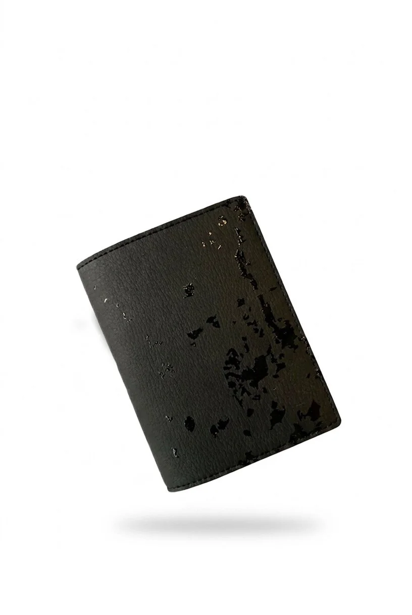 Guillaume Larquemain-Porte passeport-01.jpeg