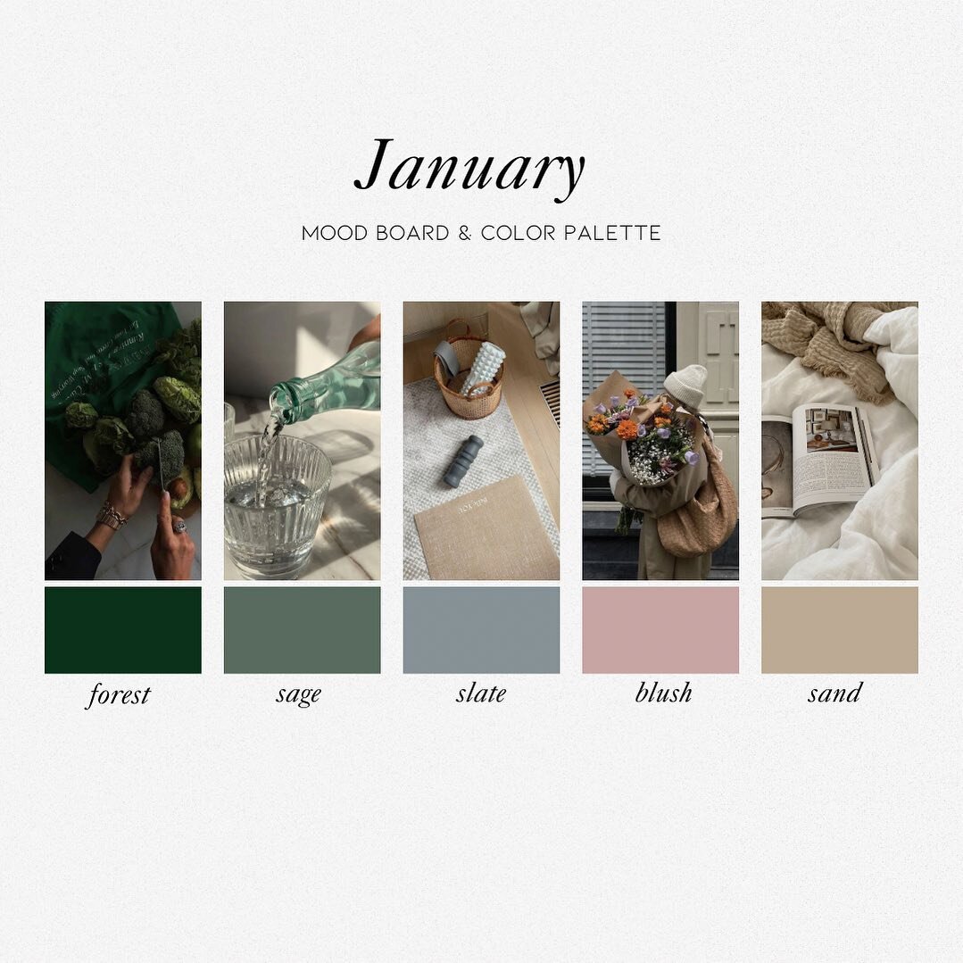 January mood board and color palette 🩵

#moodboardmonday #colorpaletteinspiration #webdesign #webdesigner #logodesigner #moodboardaesthetic #webdesigninspo #modernwebsite #designer #logotype #visualidentity #creative #typography #logodesigns #design