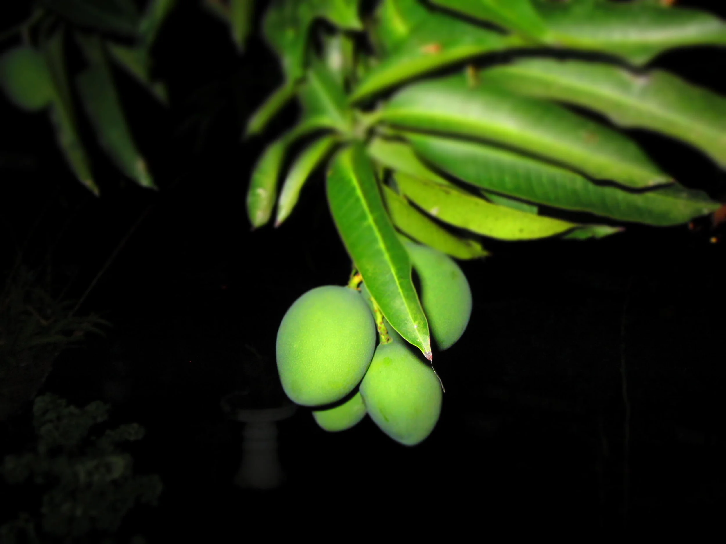 Point and Shoot Photos