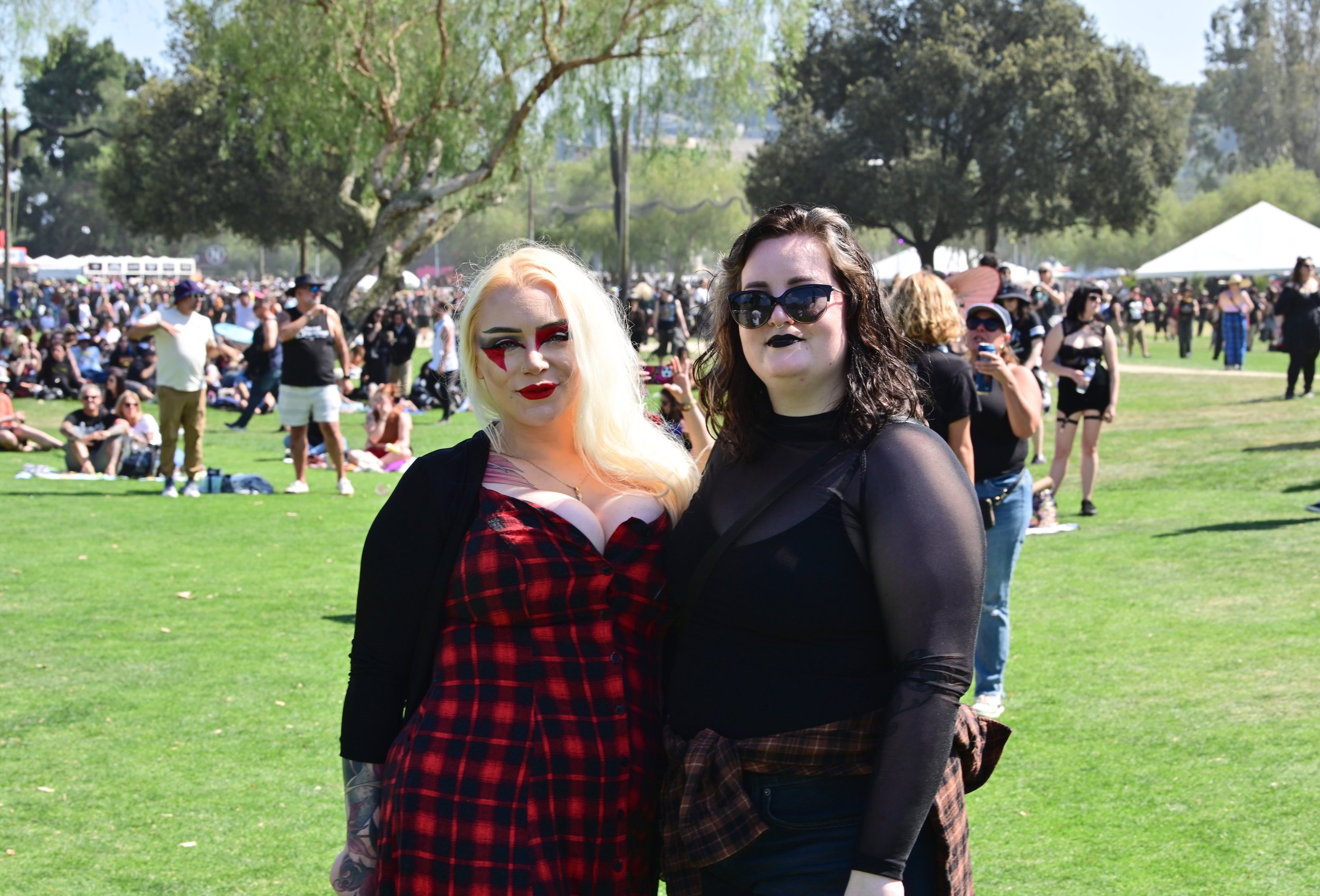 DSC_6441.jpg