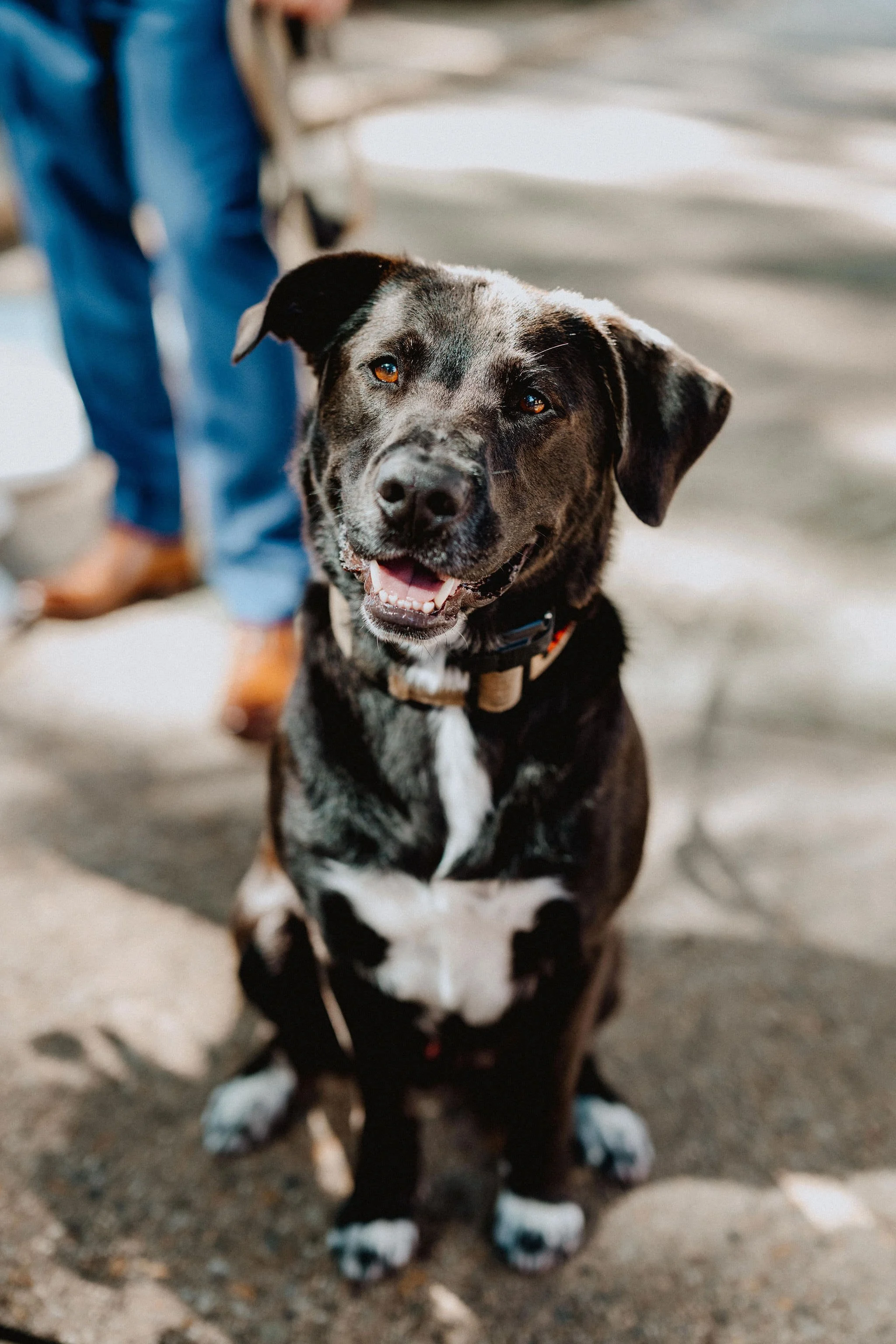 lilah-philadelphia-wedding57.JPG
