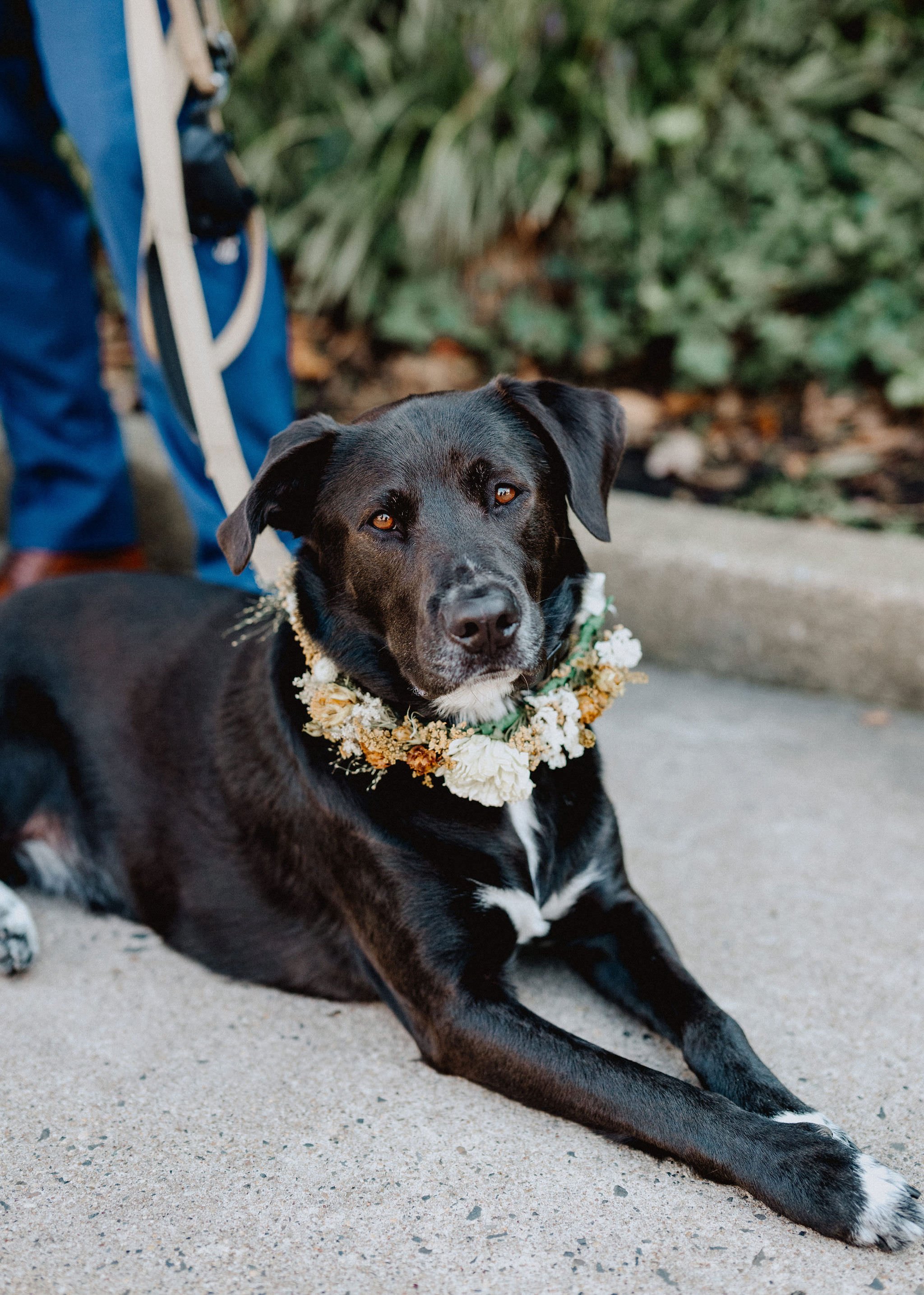 lilah-philadelphia-wedding59.JPG