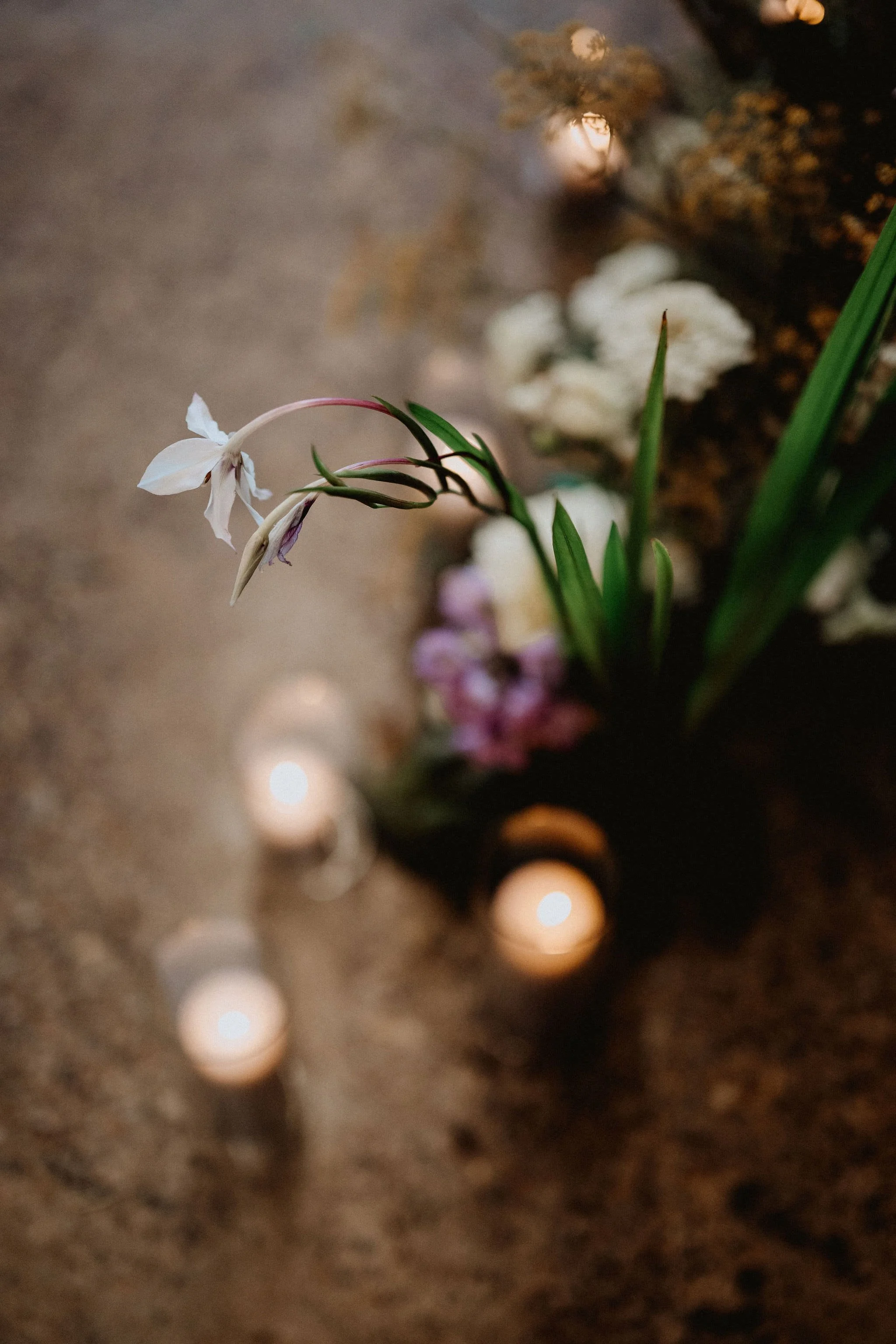 lilah-philadelphia-wedding103.JPG