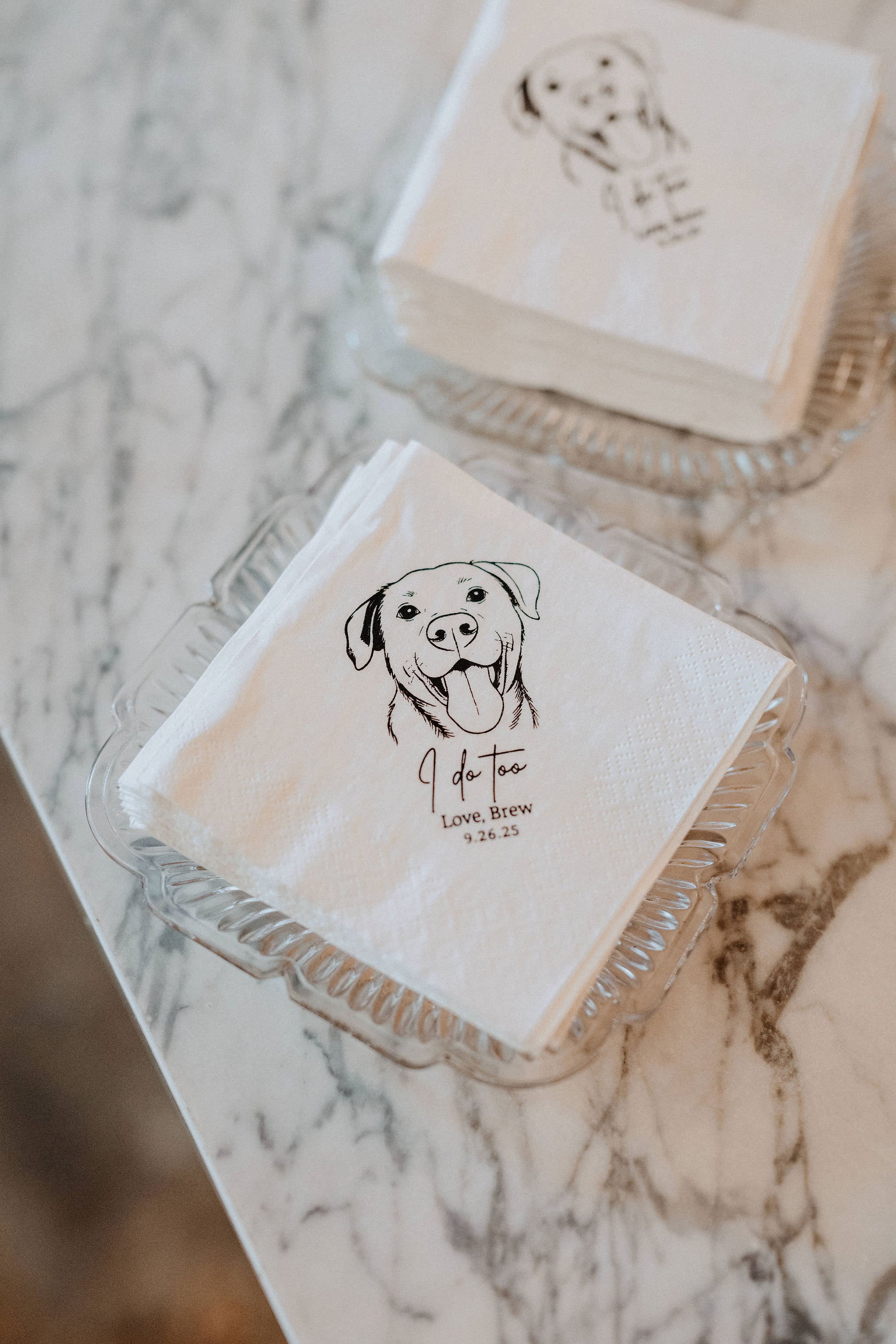 lilah-philadelphia-wedding110.JPG