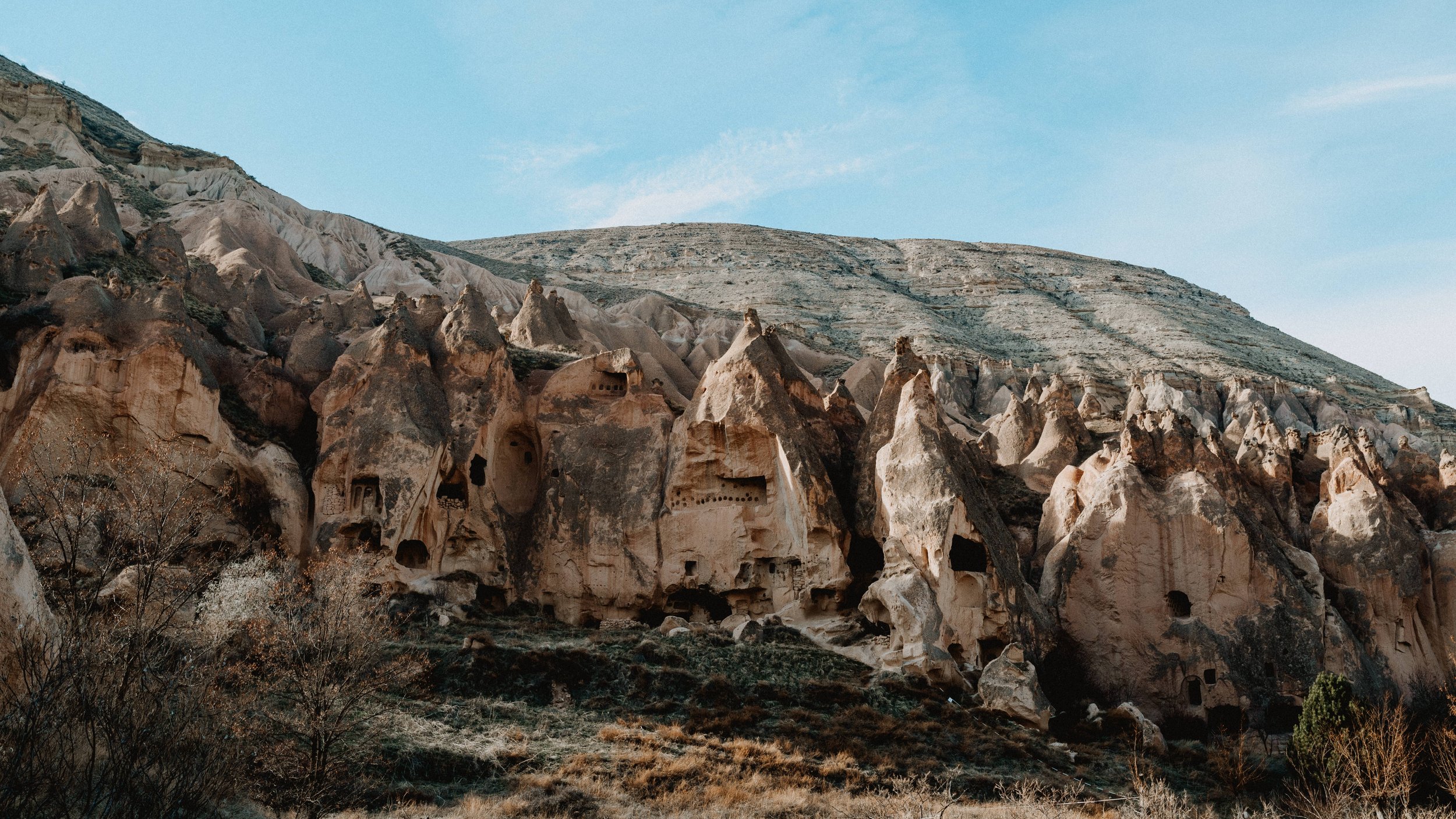 SD1_2930.jpg