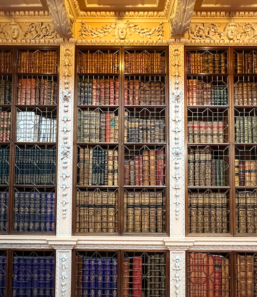 Book-Lined Shelves at Blenheim Palace