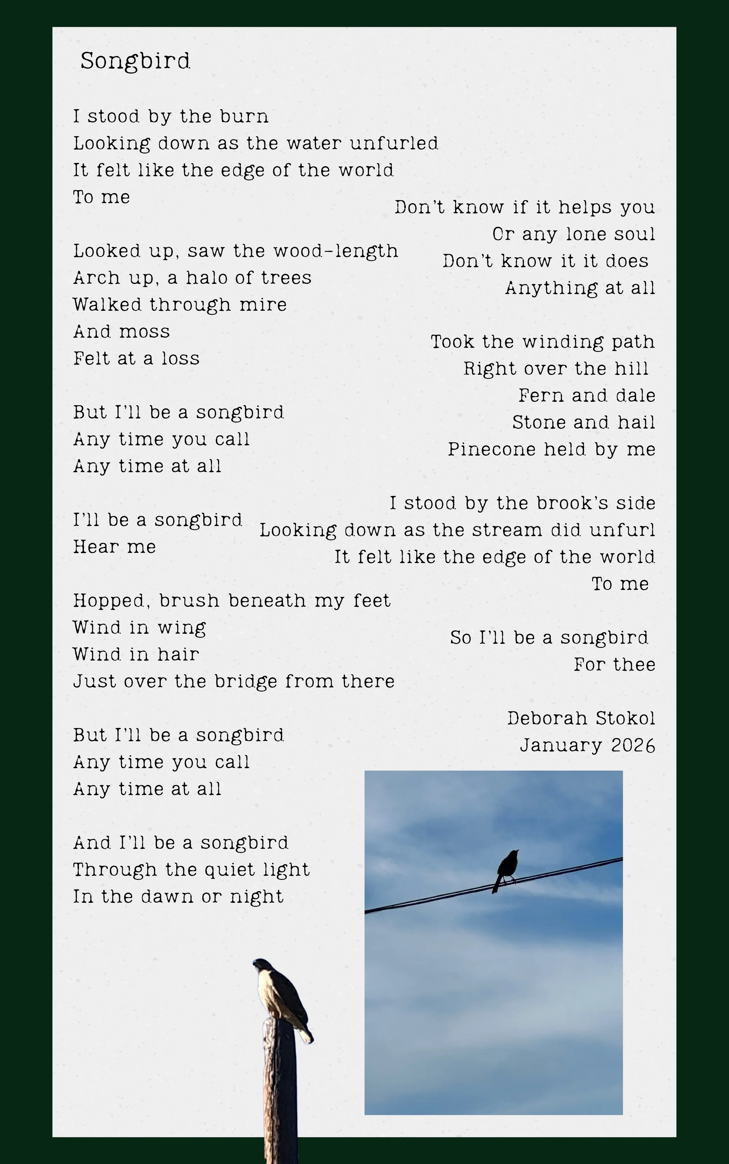 Songbird.jpg