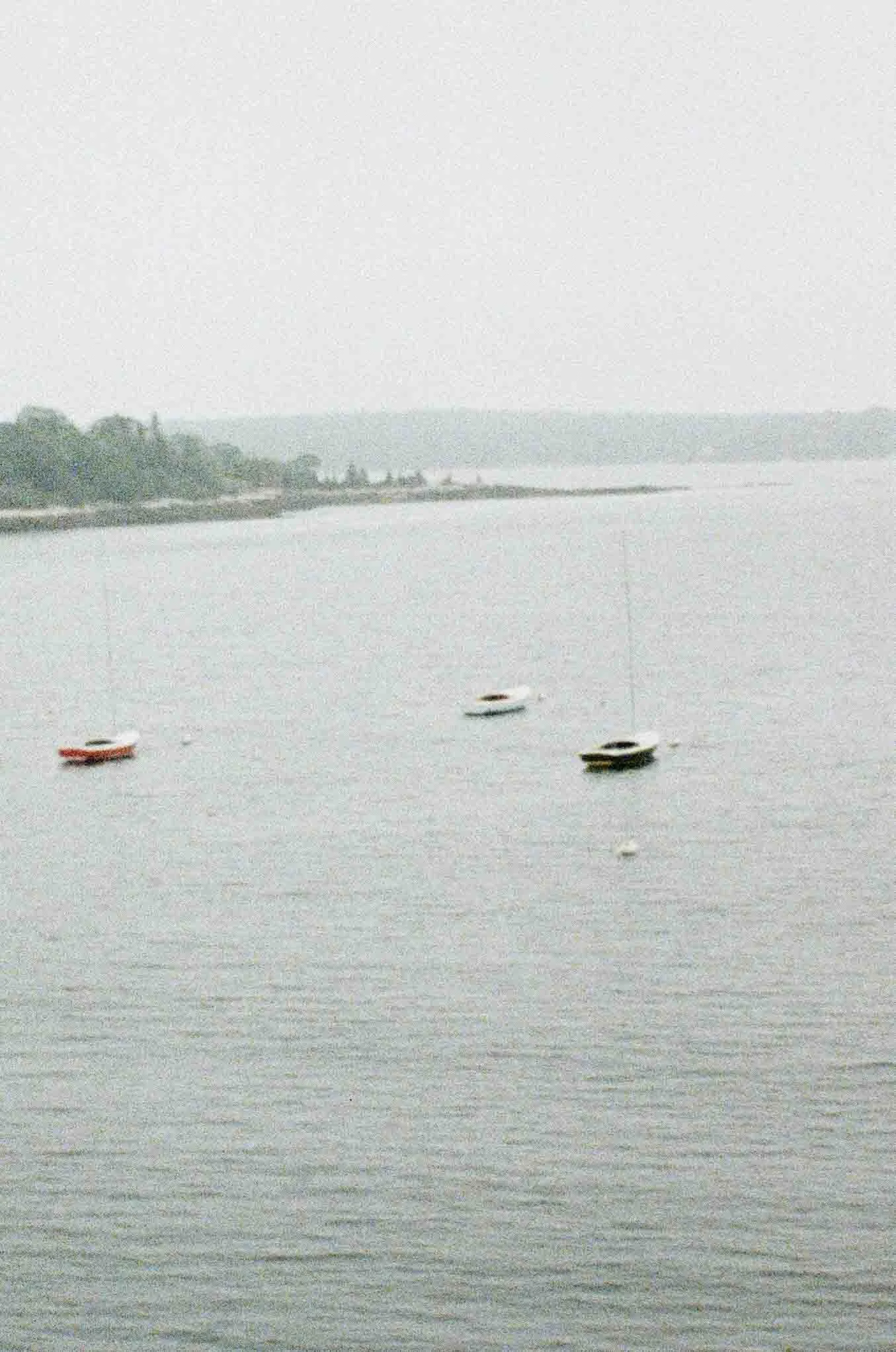 Film2025-4.jpg