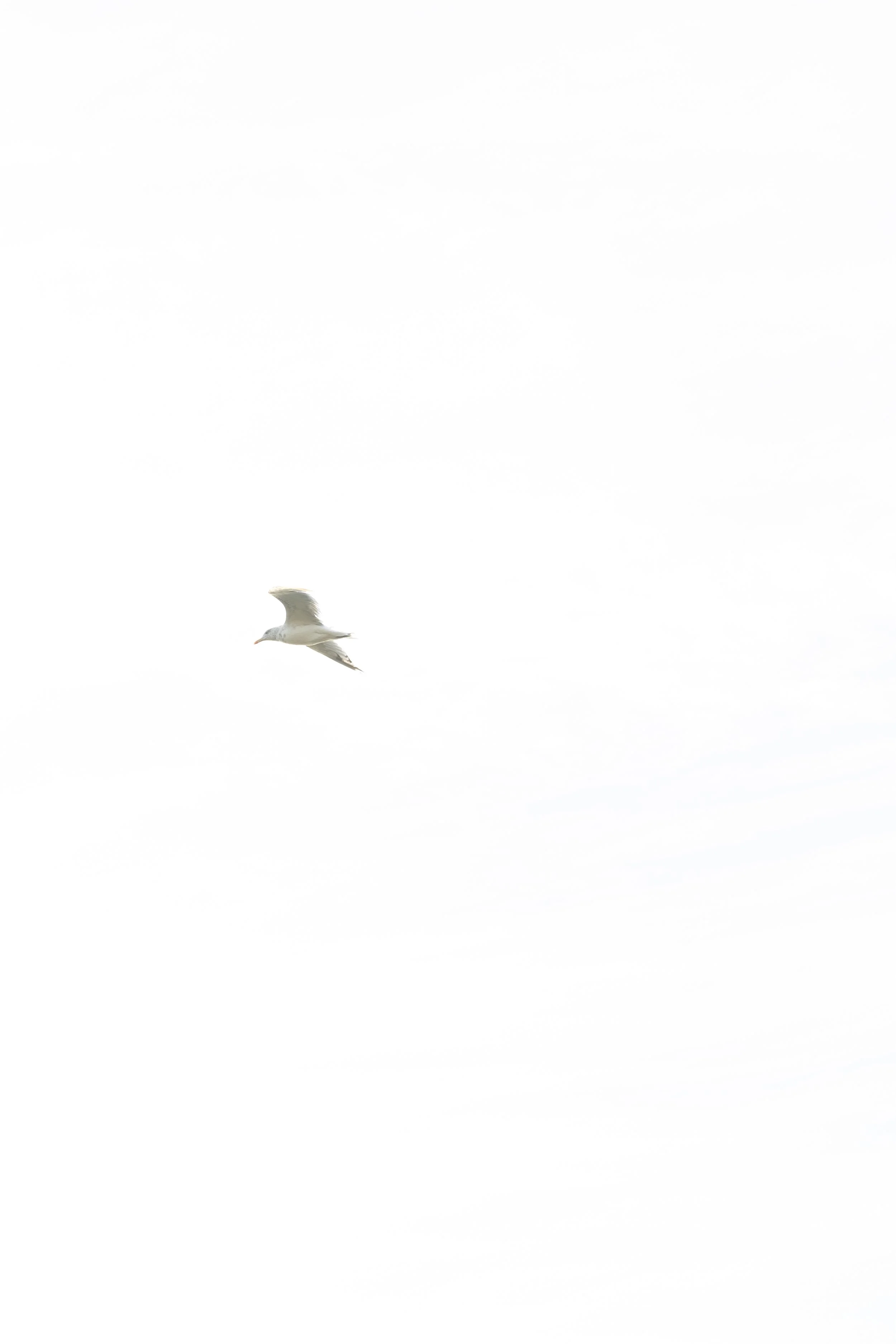 1014_KiahMax-3.jpg