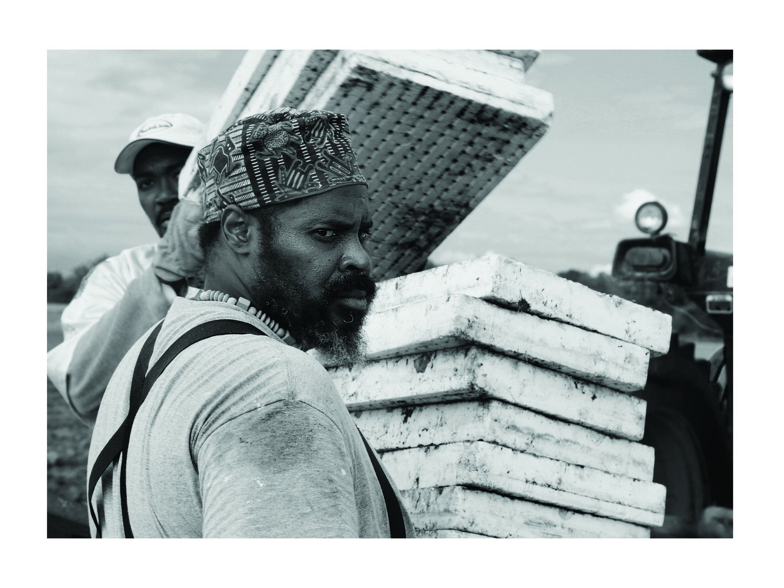 PlantingTobacco3-web.jpg