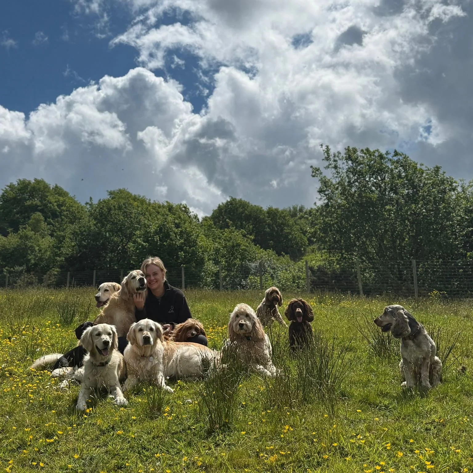 A woman with several dogs in a grassy field under a partly cloudy sky.