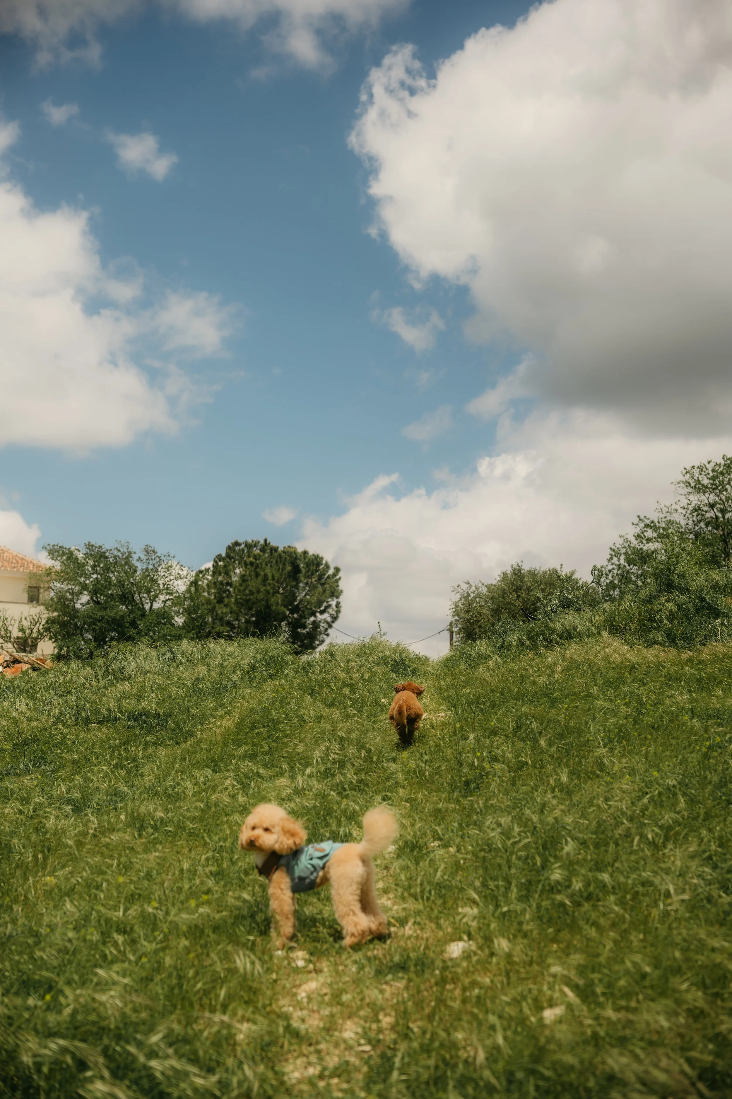 Nomads 2026-17.jpg
