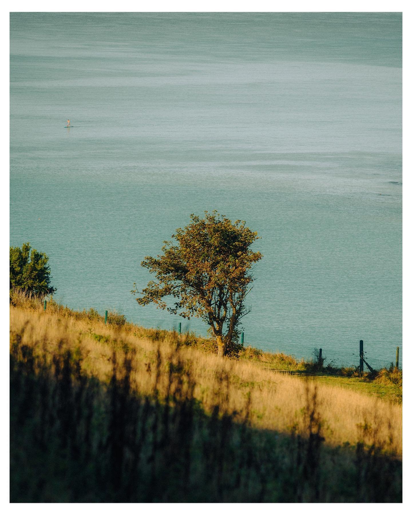 Summer where are you 🌧️