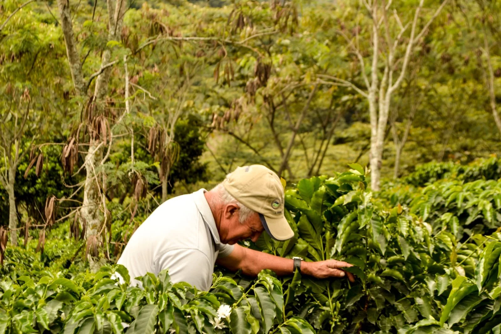 Huver Castillo (3).jpeg