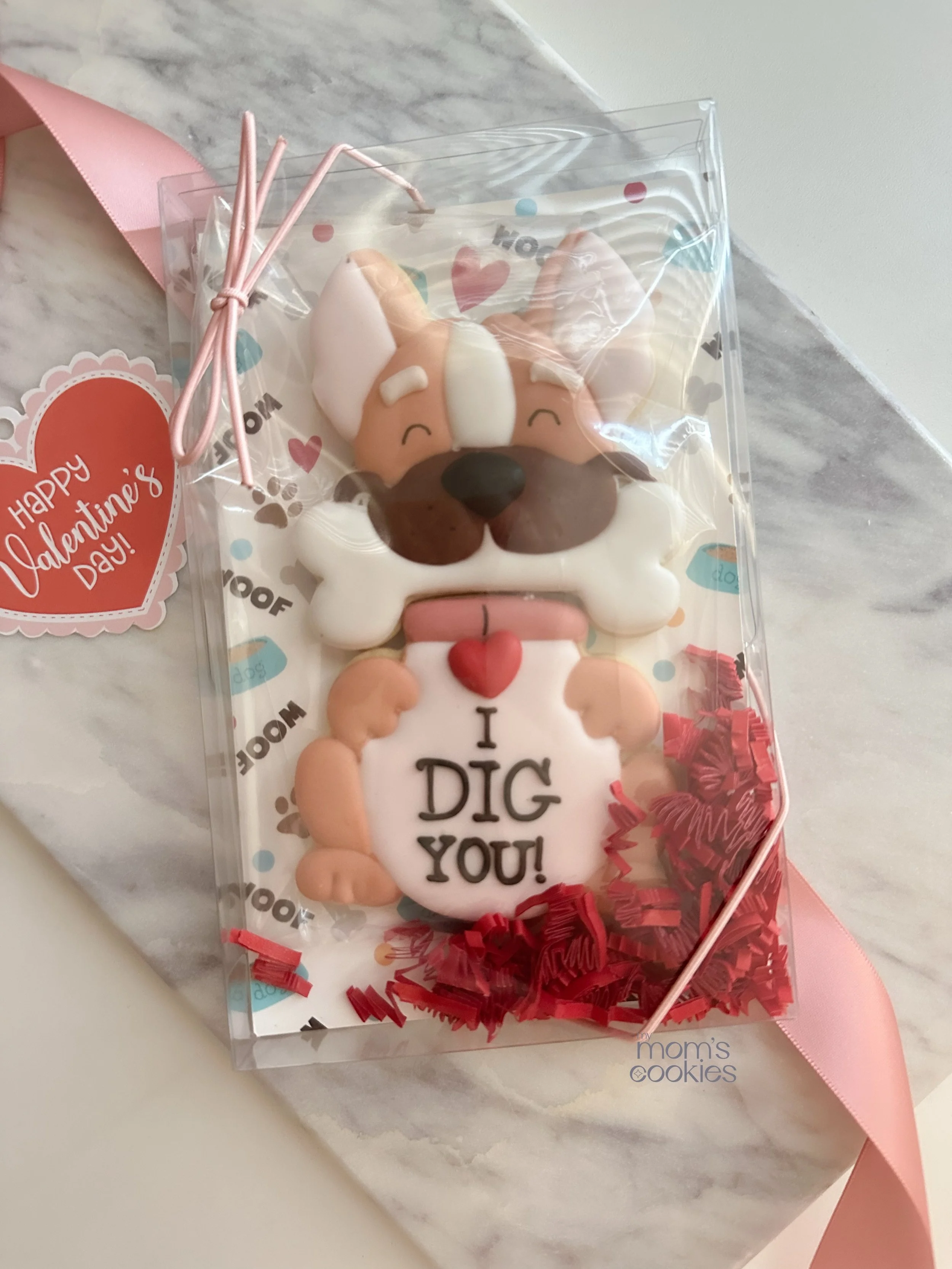 eZy Watermark_15-01-2026_12-20-07-2520PM.JPG