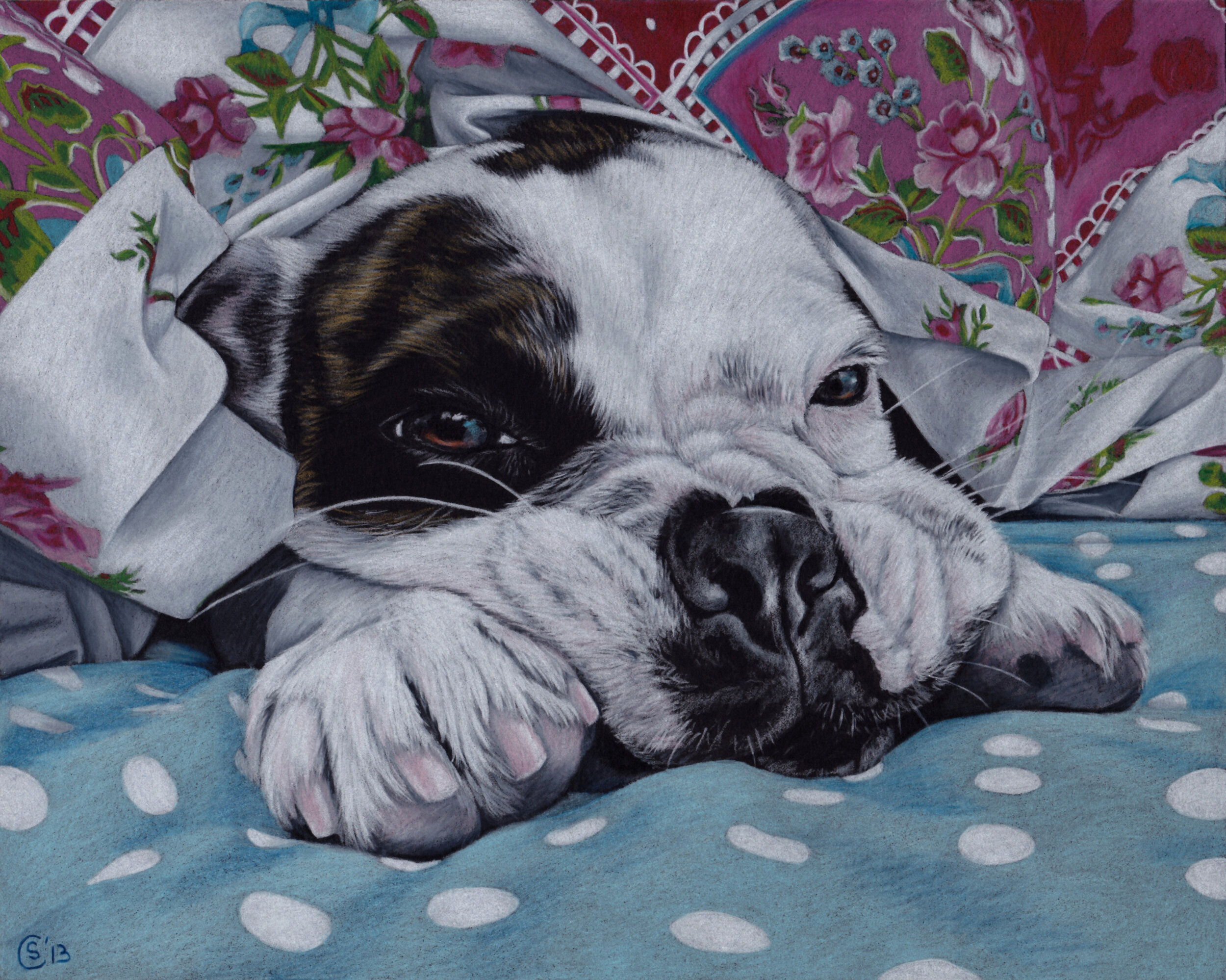 Bulldog Dog Portrait Commission
