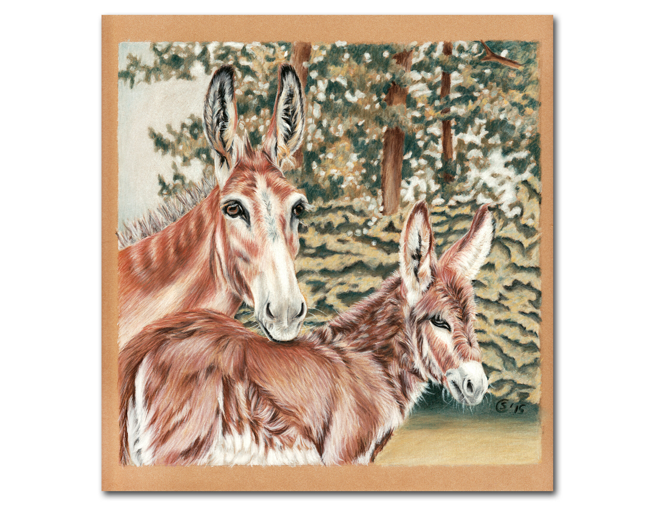 Donkey and Foal Colored Pencils Painting