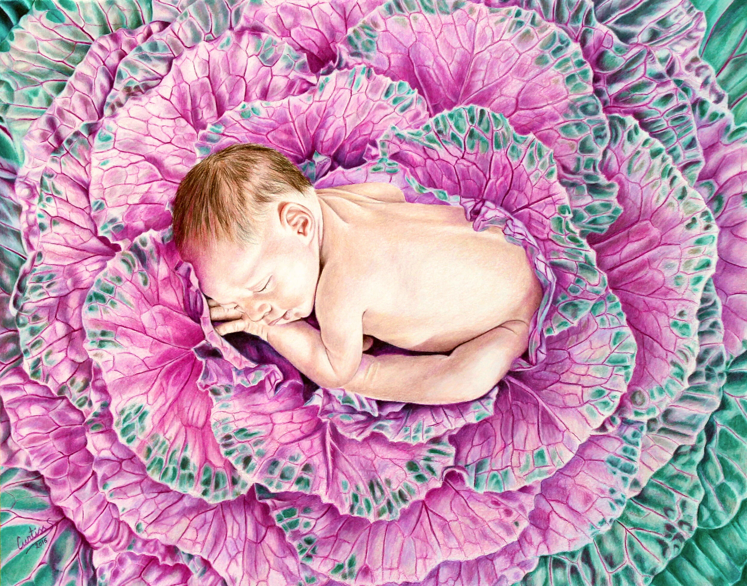 Realistic Baby in Cabbage Colored Pencils Painting