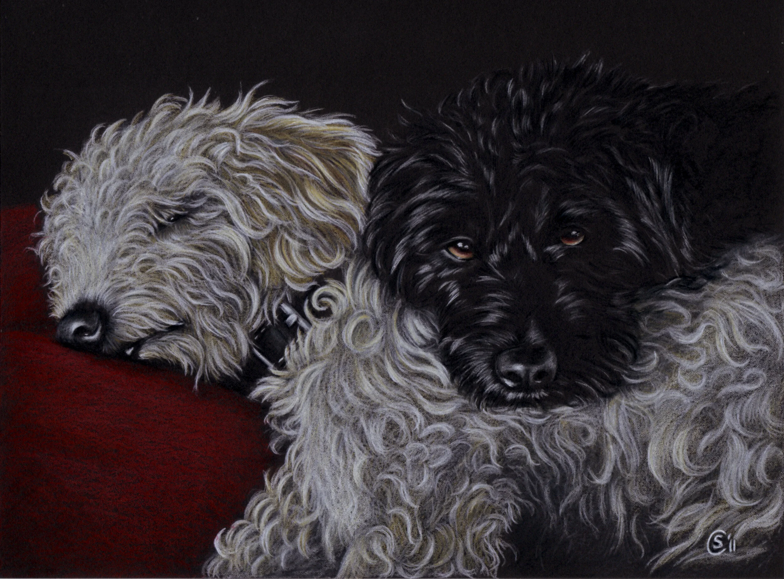 Terrier Dog Portrait Commission