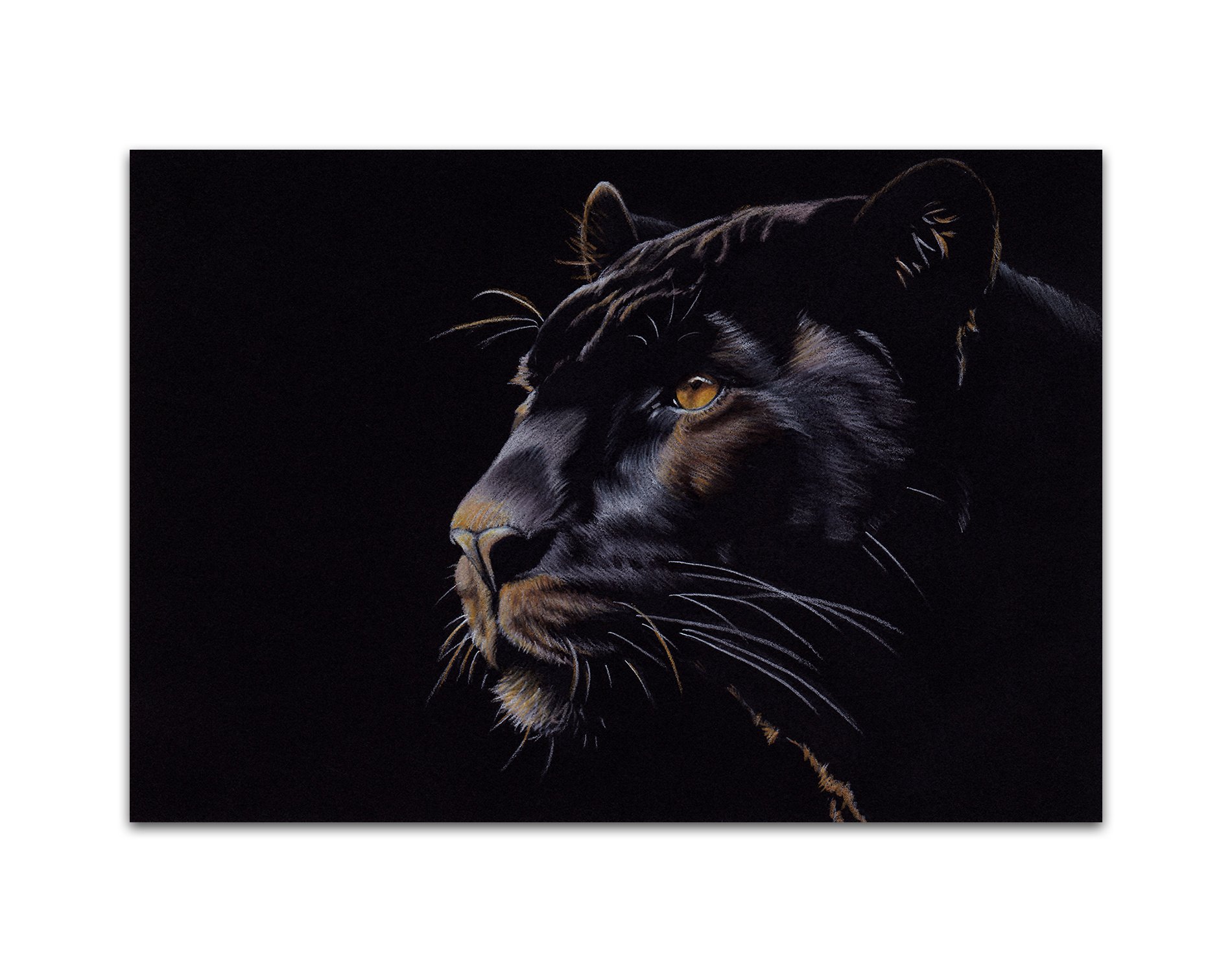 Black Panther 19.jpg