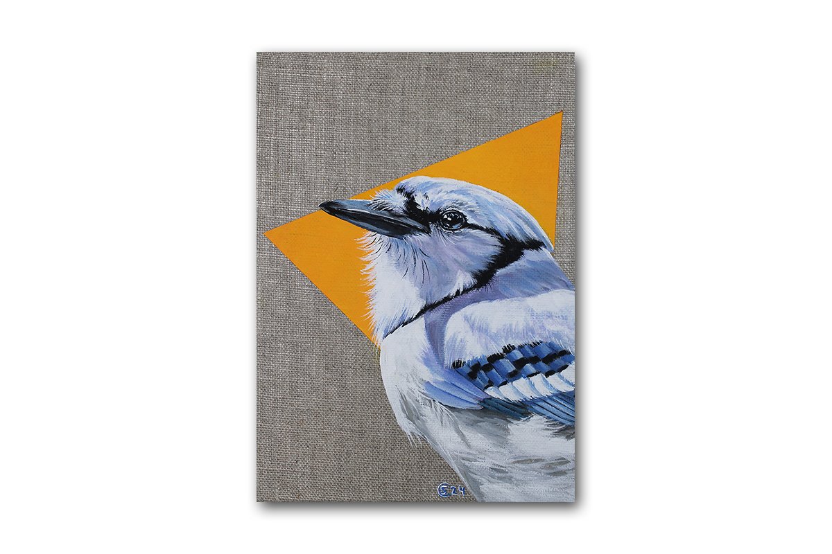 Blue Jay 15