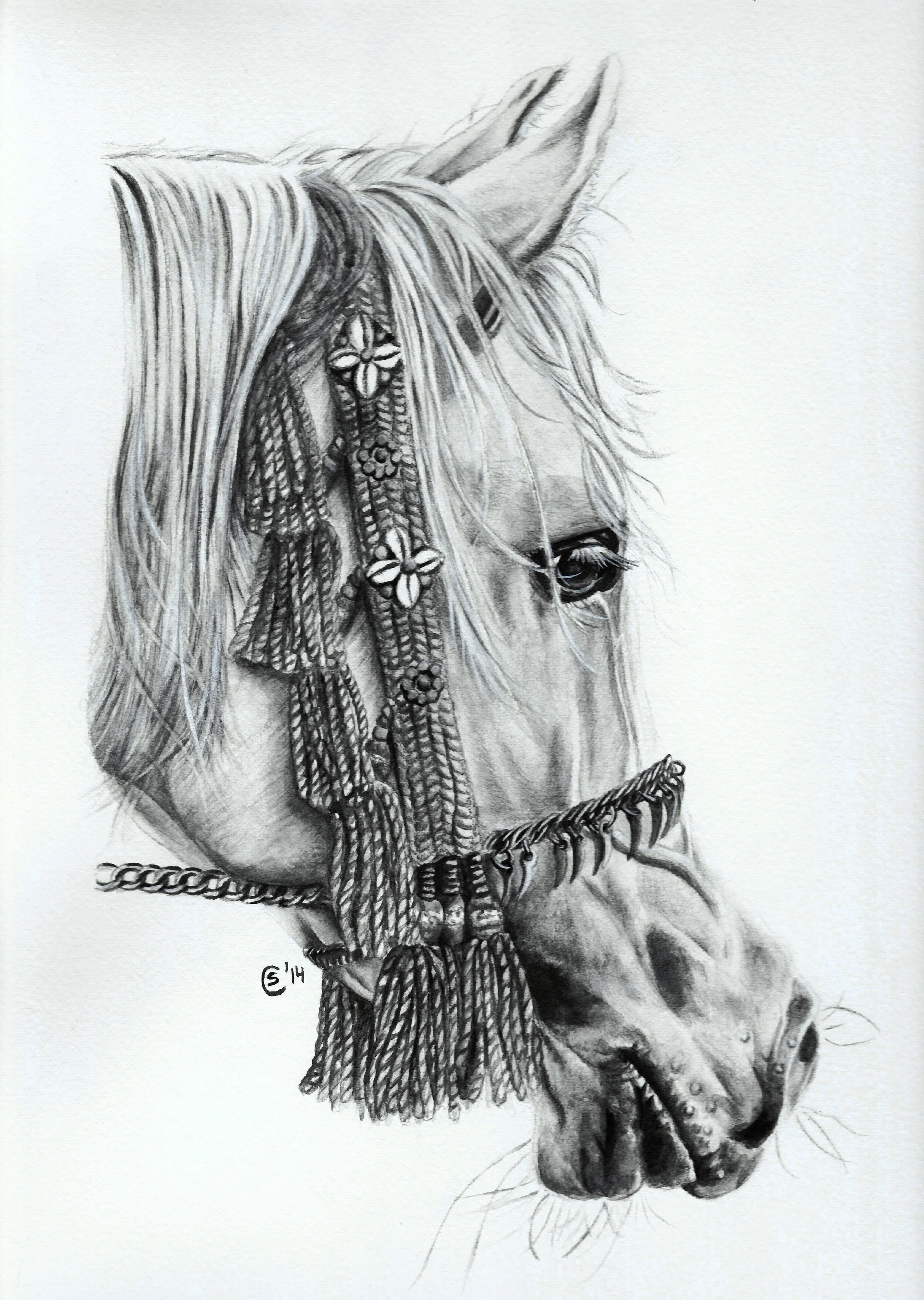 Horse - Water Soluble Graphite