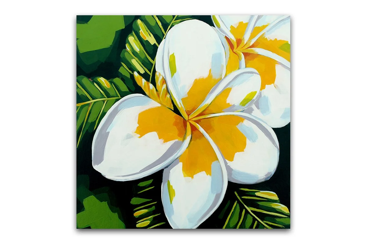 Plumeria 24