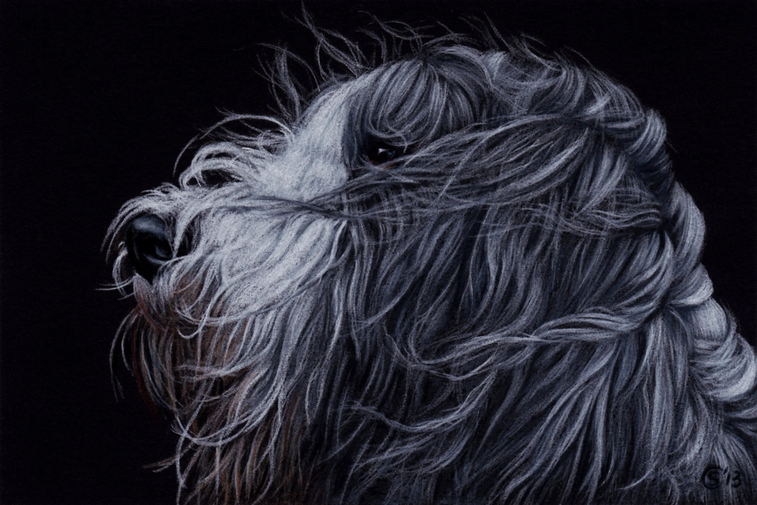 English Sheepdog Dog Portrait Commission