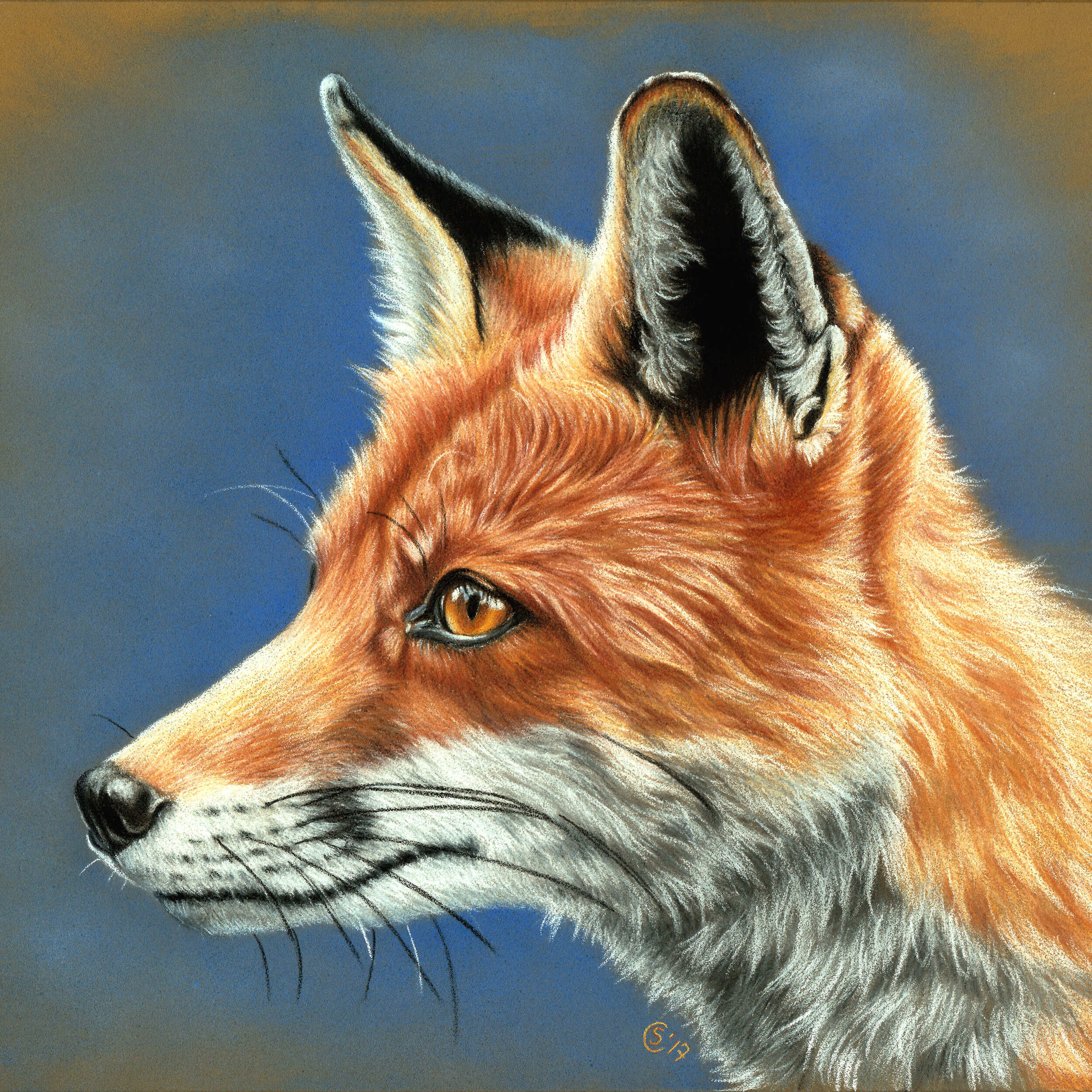 Fox - Soft Pastels