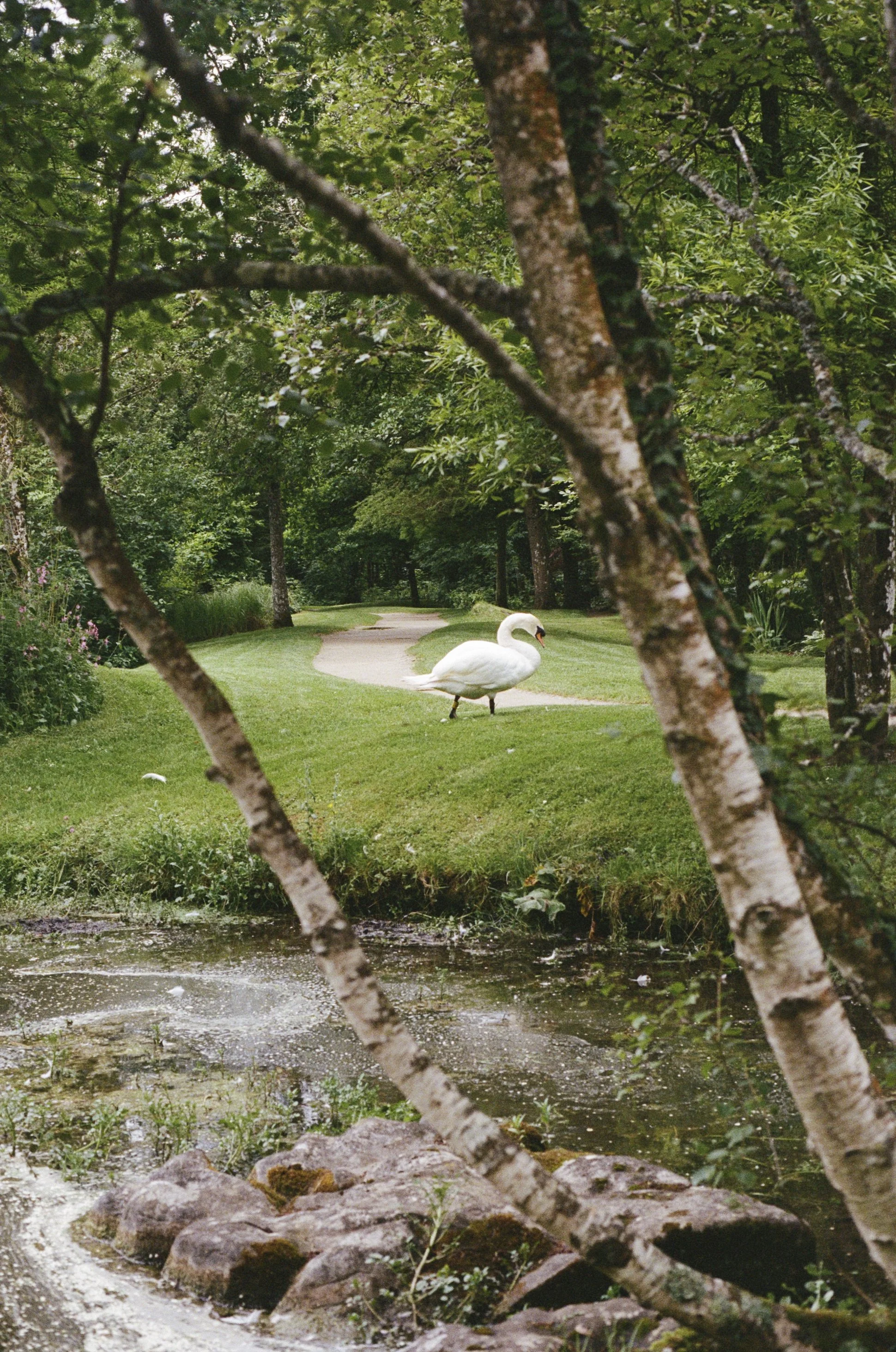 IRISH NATIONAL STUD AND GARDENS, 2024