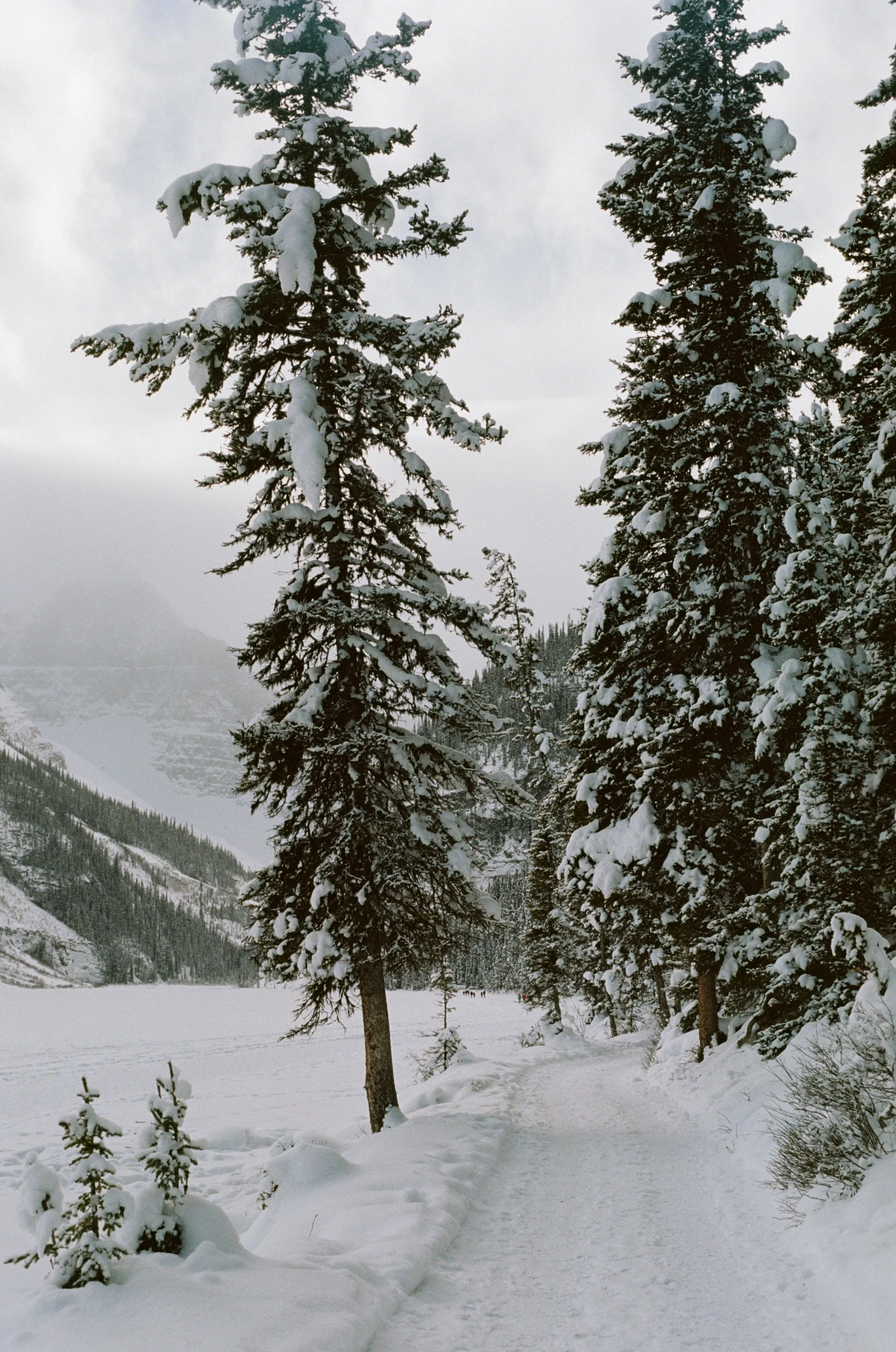 NO SOUND BUT THE SNOW: LAKE LOUISE, 2023