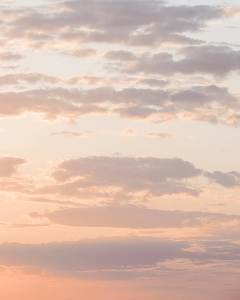 A live painting with this Sunset!

A whisper of lilac. A nudge toward peace.
Design, like clouds, can change your whole mood.

📷 @elizabeth.cecil

#Sunset #Sky #Clouds #Pink #Inspiration #Color #ColorInspiration #ArtDirection #ArtDesign #InstaGood #