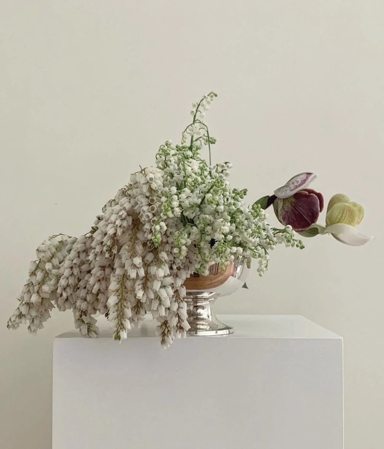 Wintery flowers feel so dreamy right now. The new @pantone &ldquo;Cloud Dancer&rdquo; white paired with a pop of Cabernet and Chartreuse in a chrome basin&hellip; it is giving every bit of winter magic. Shiny, fluffy, elegant, and full of life for th
